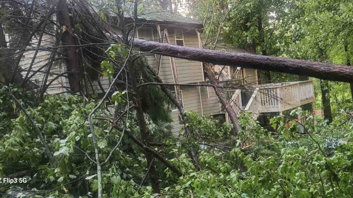 Fundraiser by Carol A : Storm causes trees to fall and damage home and car