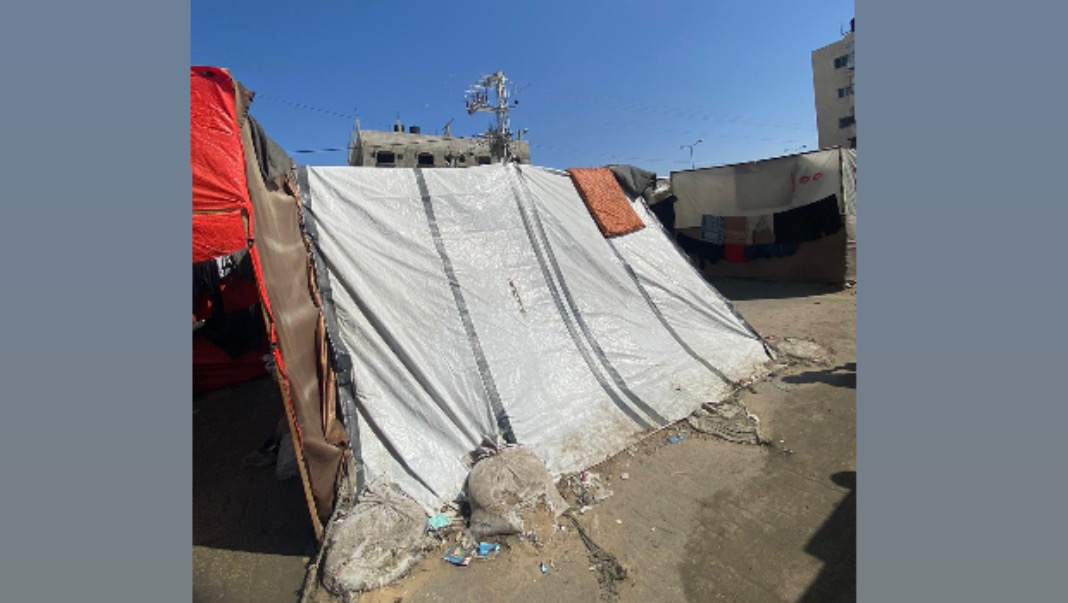 Support Farah to Survive and Escape War! photo