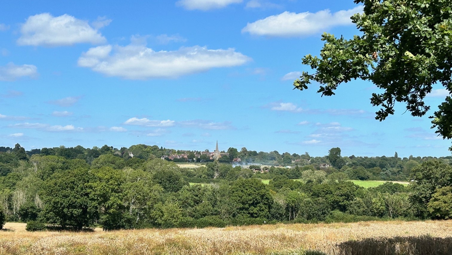 Fundraiser by Cuckfield Society : Save the land to the south of ...