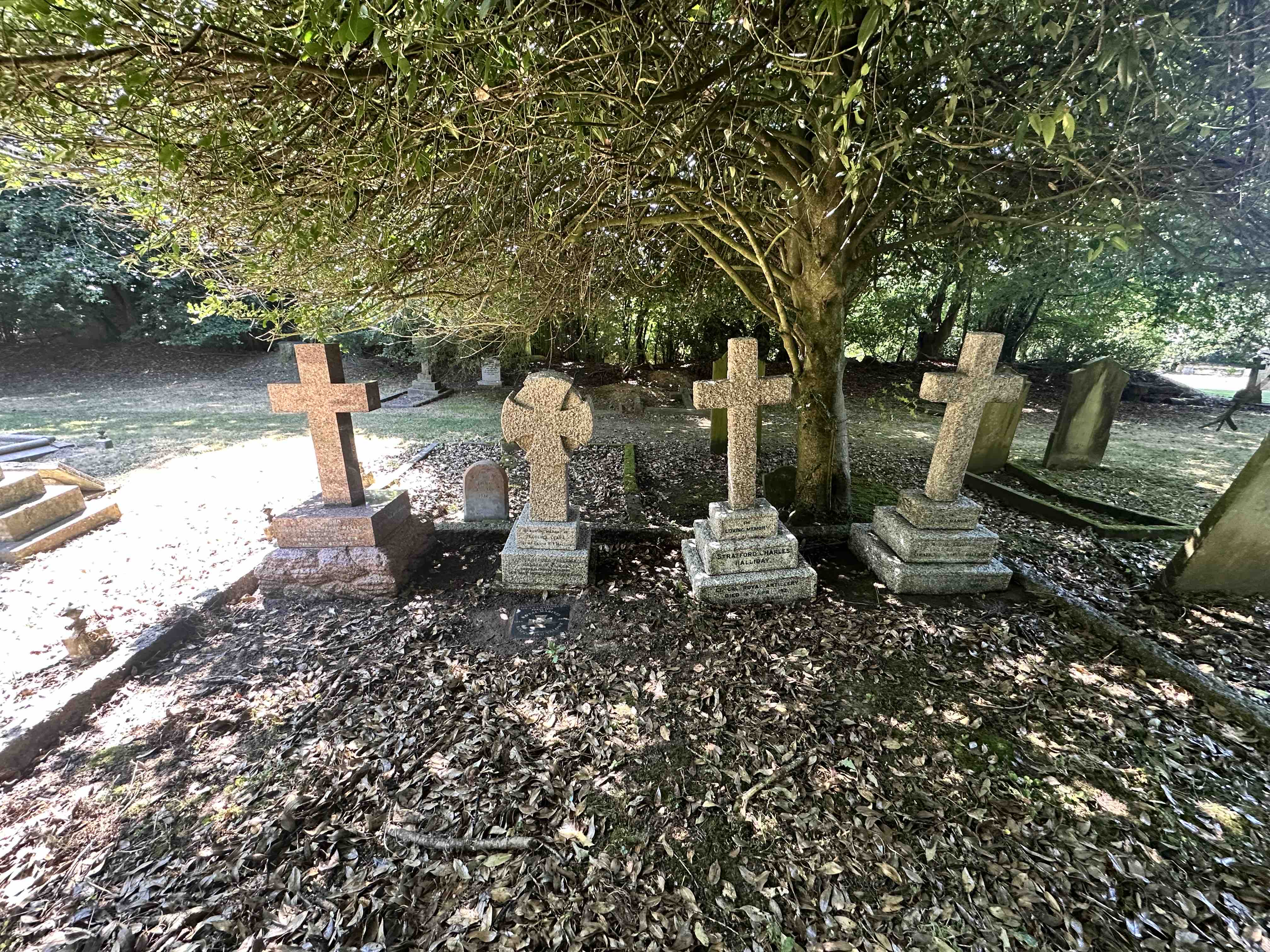 Help our team of veteran volunteers restore military graves campaign photo, 6 of 13