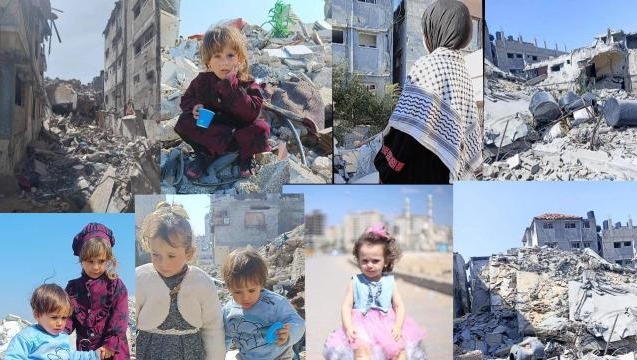 Urgent Help for Reem's Displaced Family in Gaza photo