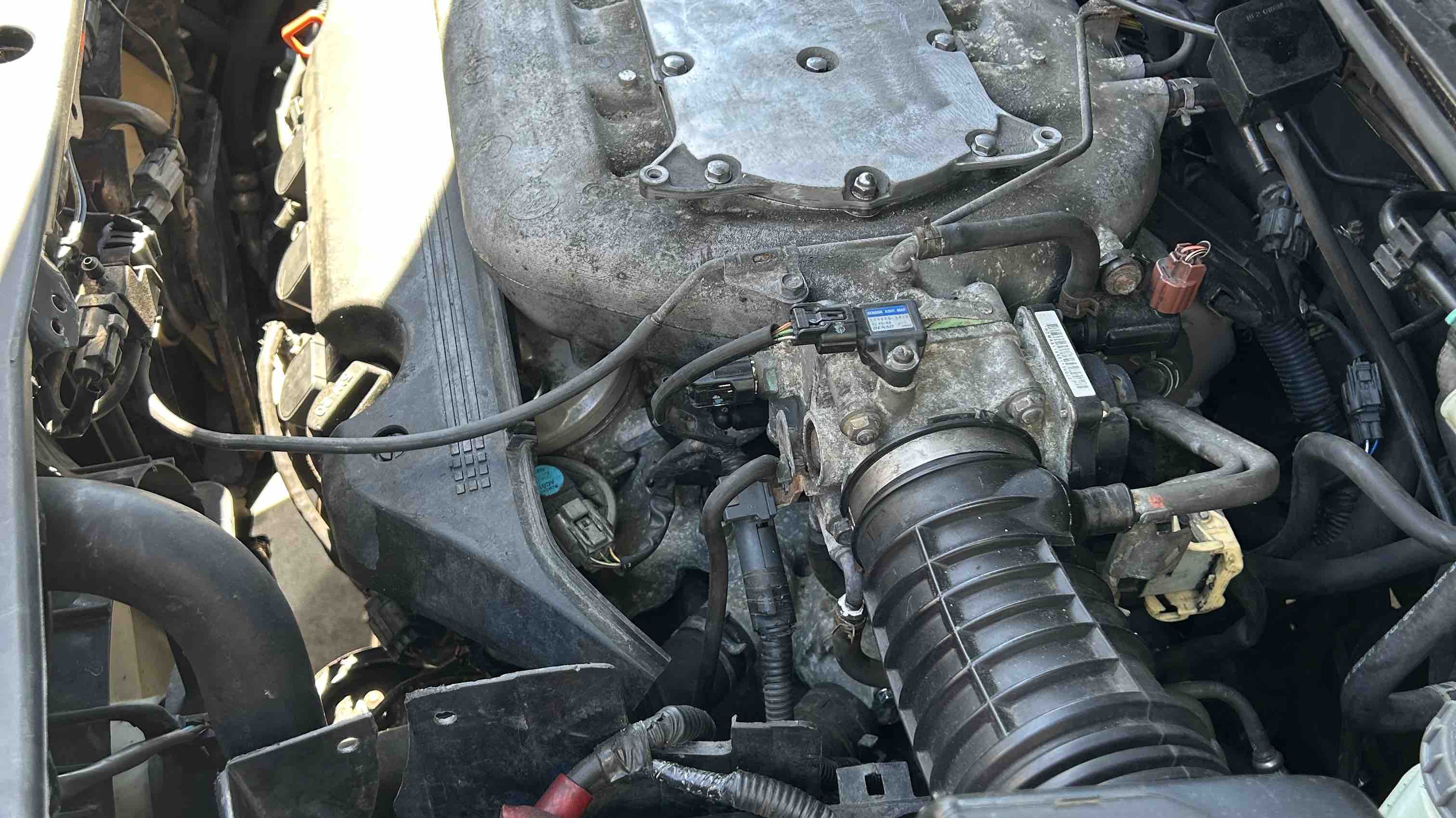 Trying to keep my faith and my smile photo