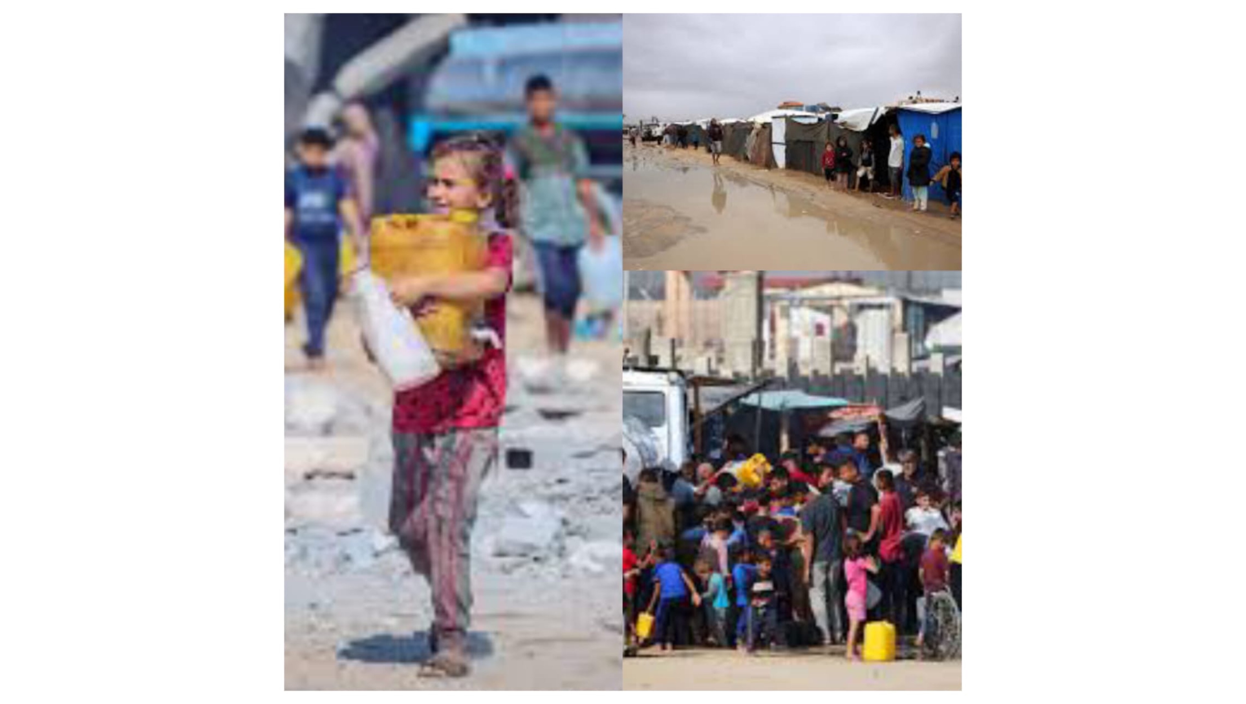 Building a new life for my family and light in the darkness photo