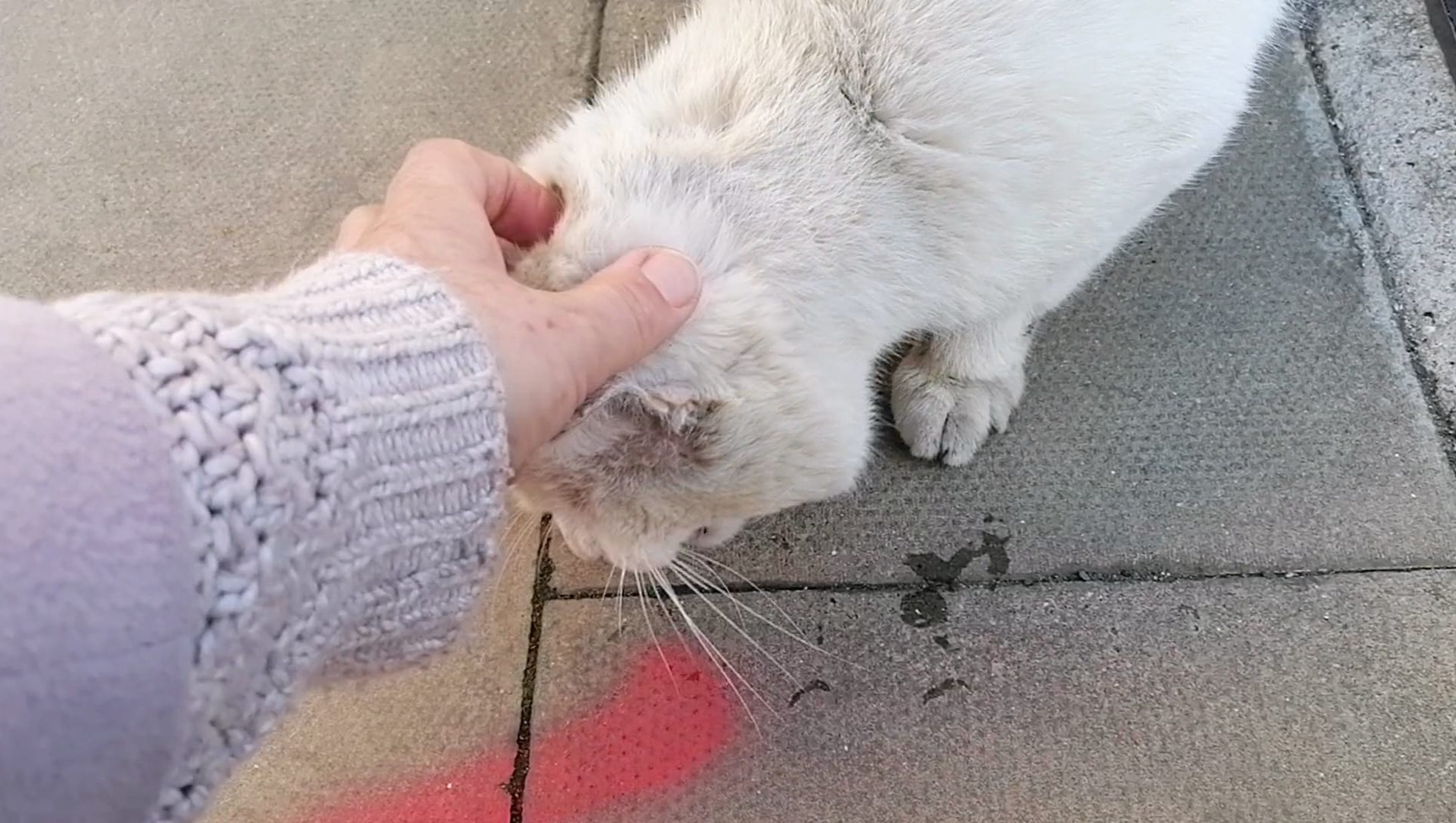 Fundraiser by Ela Ela Please help to secure a medical grade equipment