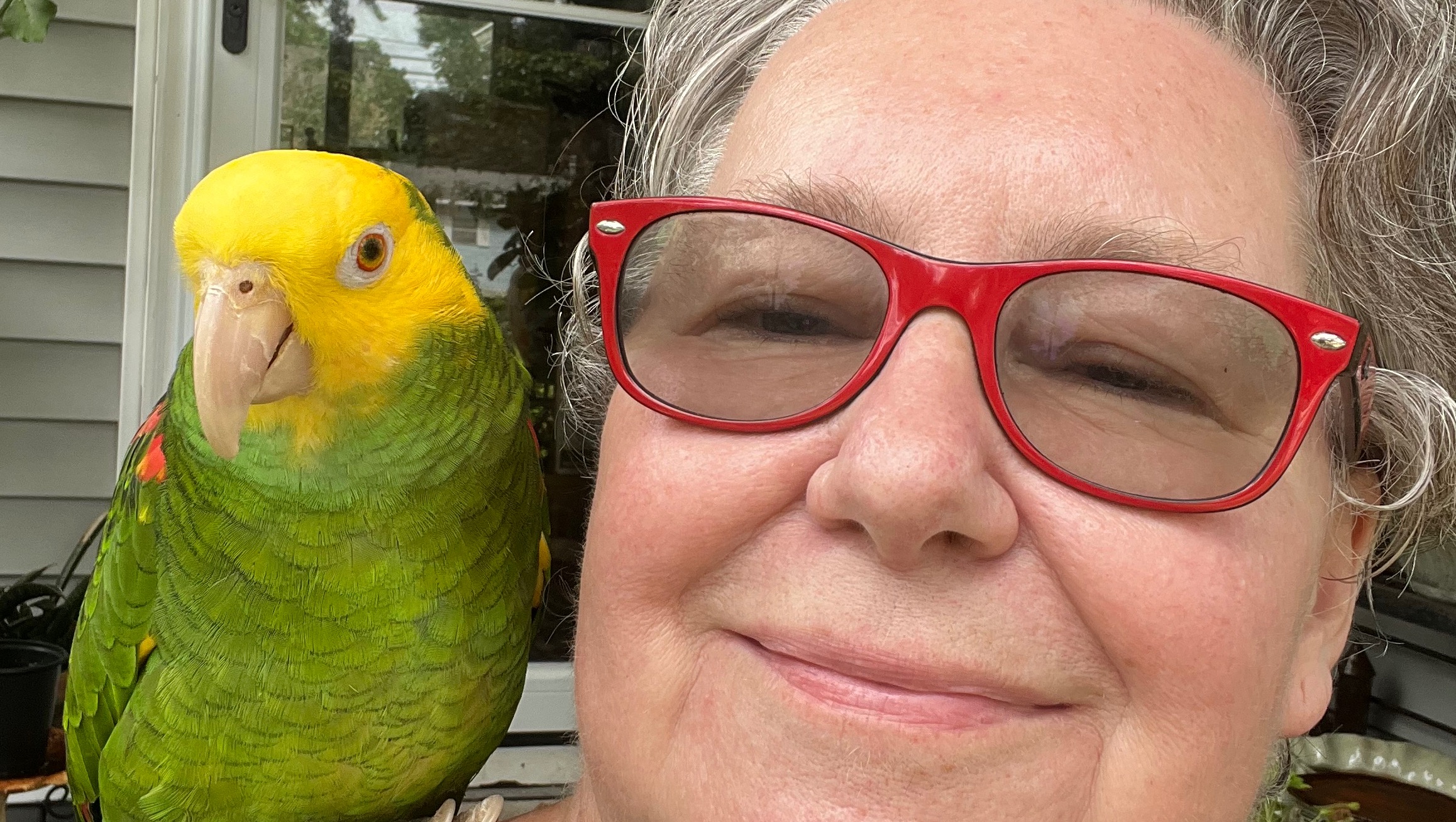 Help GreenWoman defeat cancer again! photo