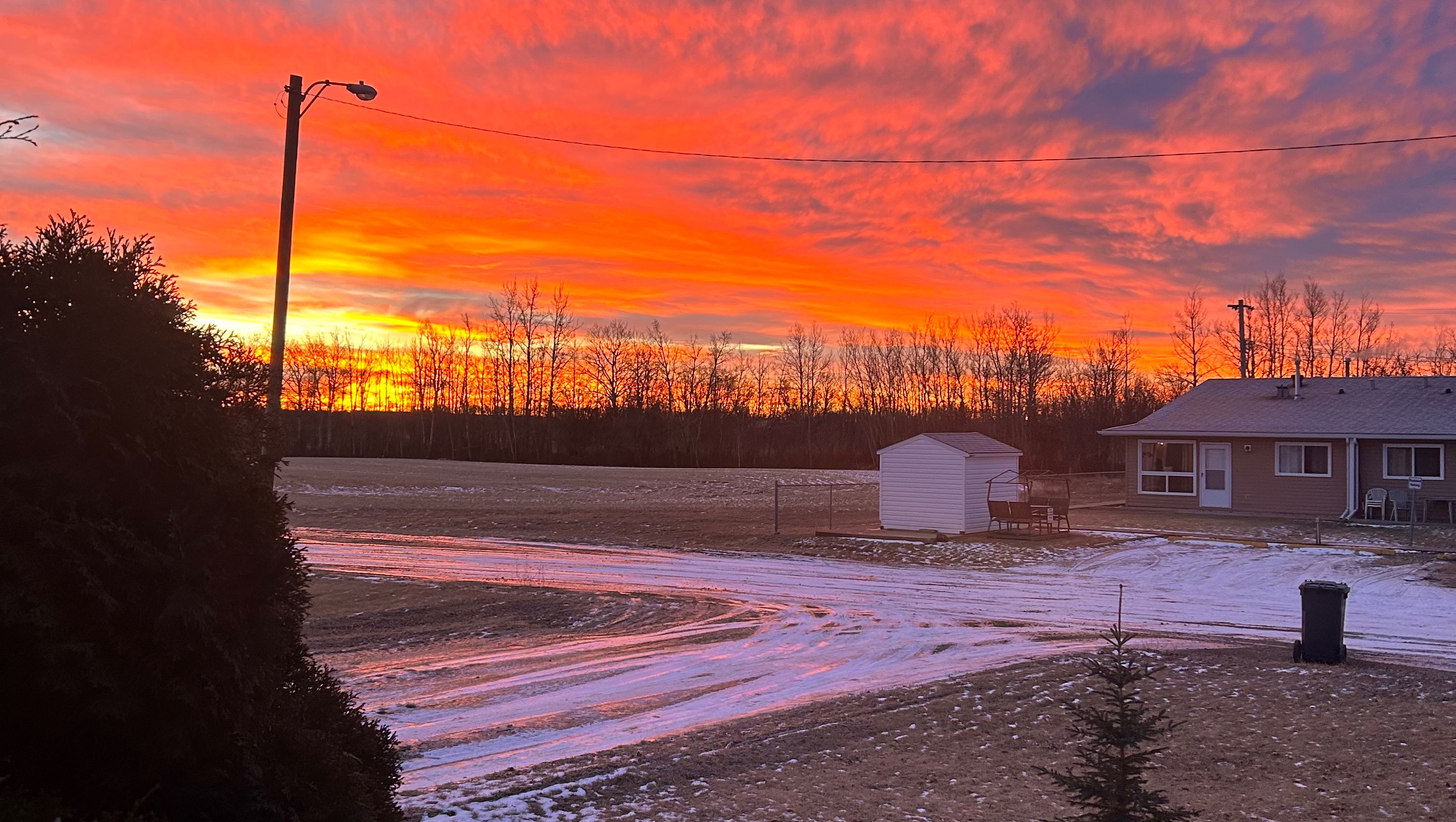 Fundraiser by Loretta Morley Pandemic debt