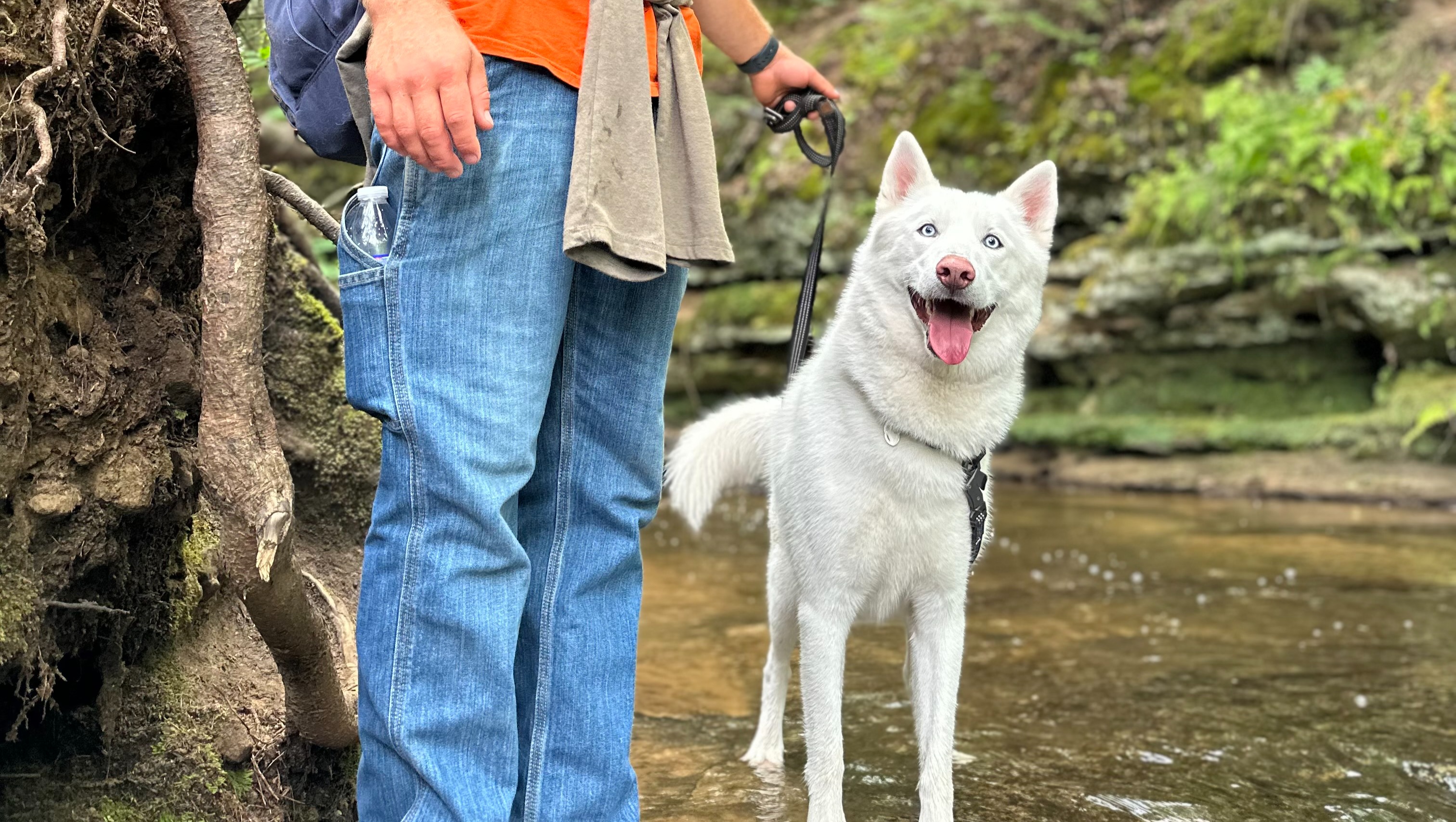 Fundraiser by Rex Wheeler Help Zeke Recover from HitandRun Accident