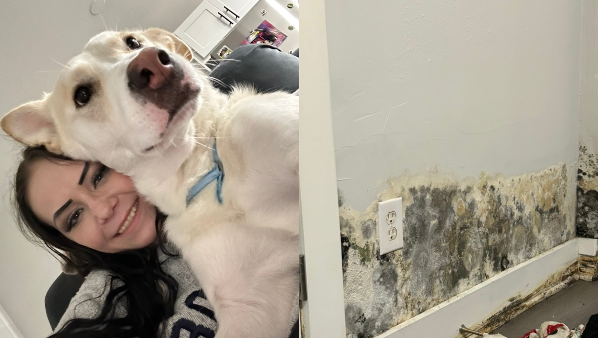 Support Sydney Sikes in Rebuilding after Toxic Mold Crisis photo
