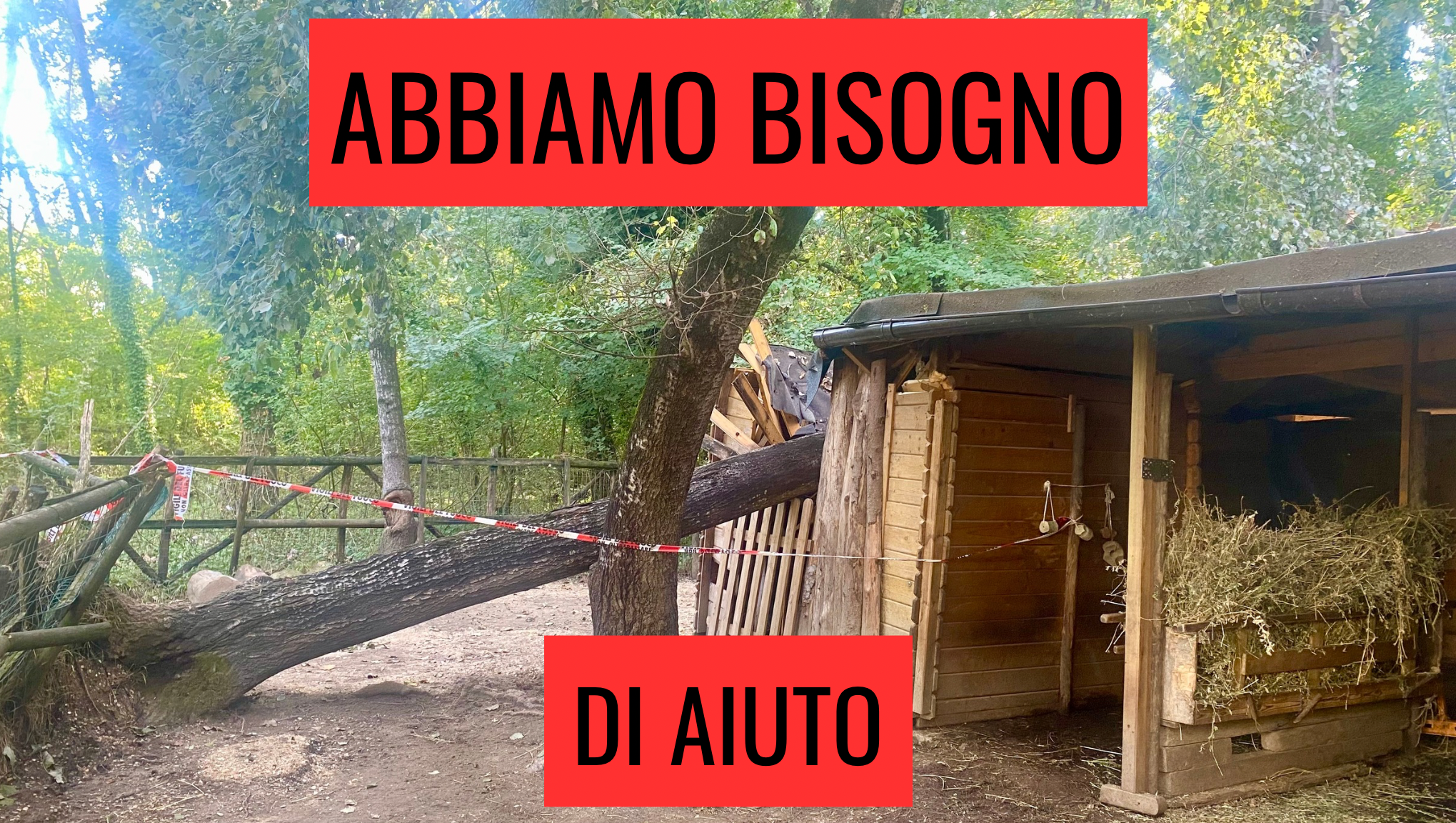 AIUTACI A RICOSTRUIRE photo