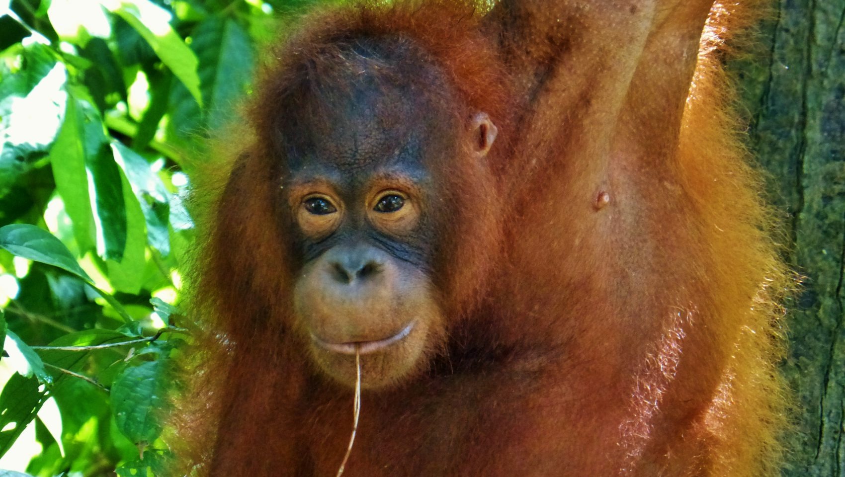 Sydney’s Social Fabric Woven Through the Digital Lens: A Deep Dive into the SYD FB Guide