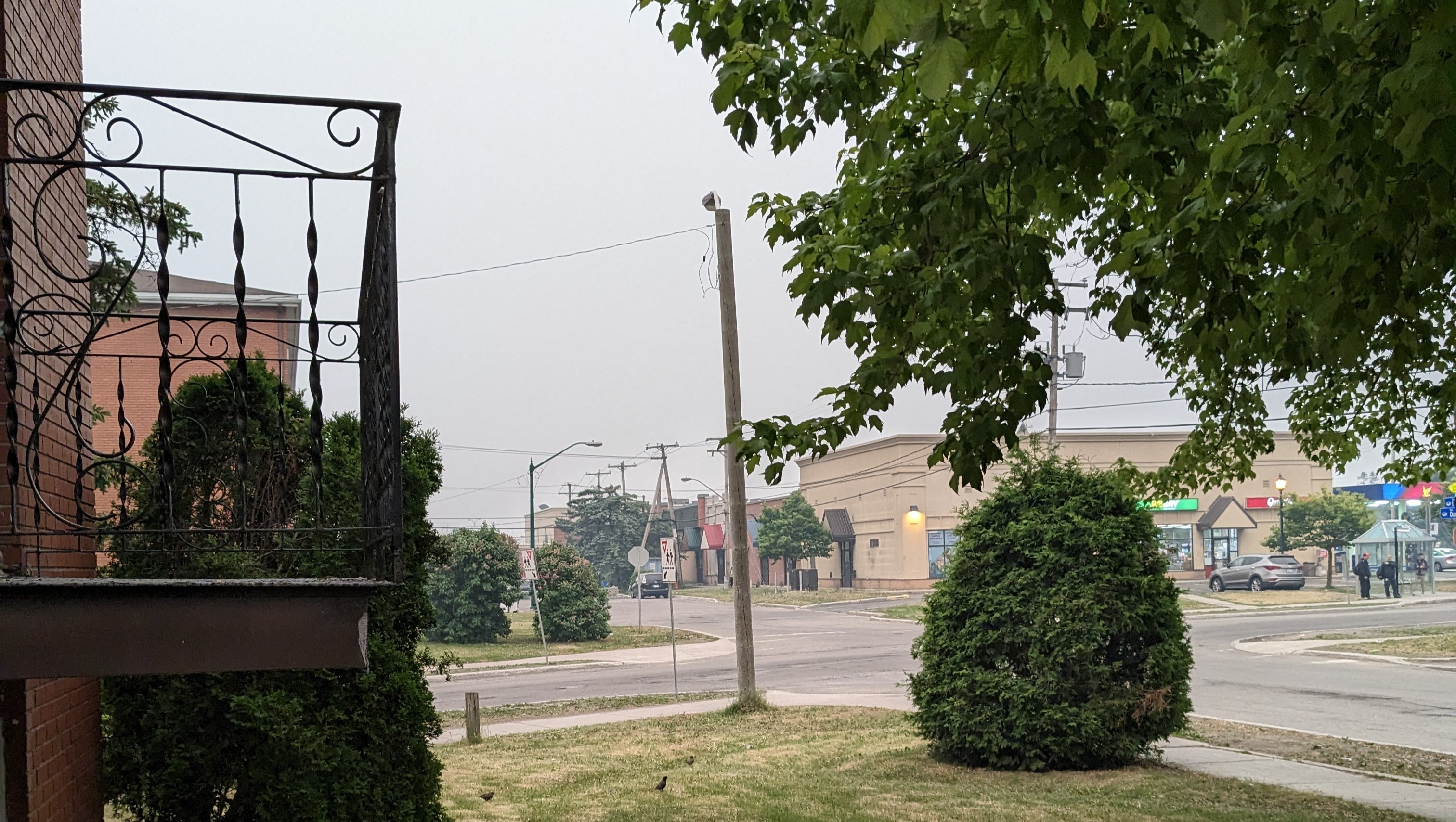 Fundraiser by CATHERINE BOISVENU Help me pay my rent