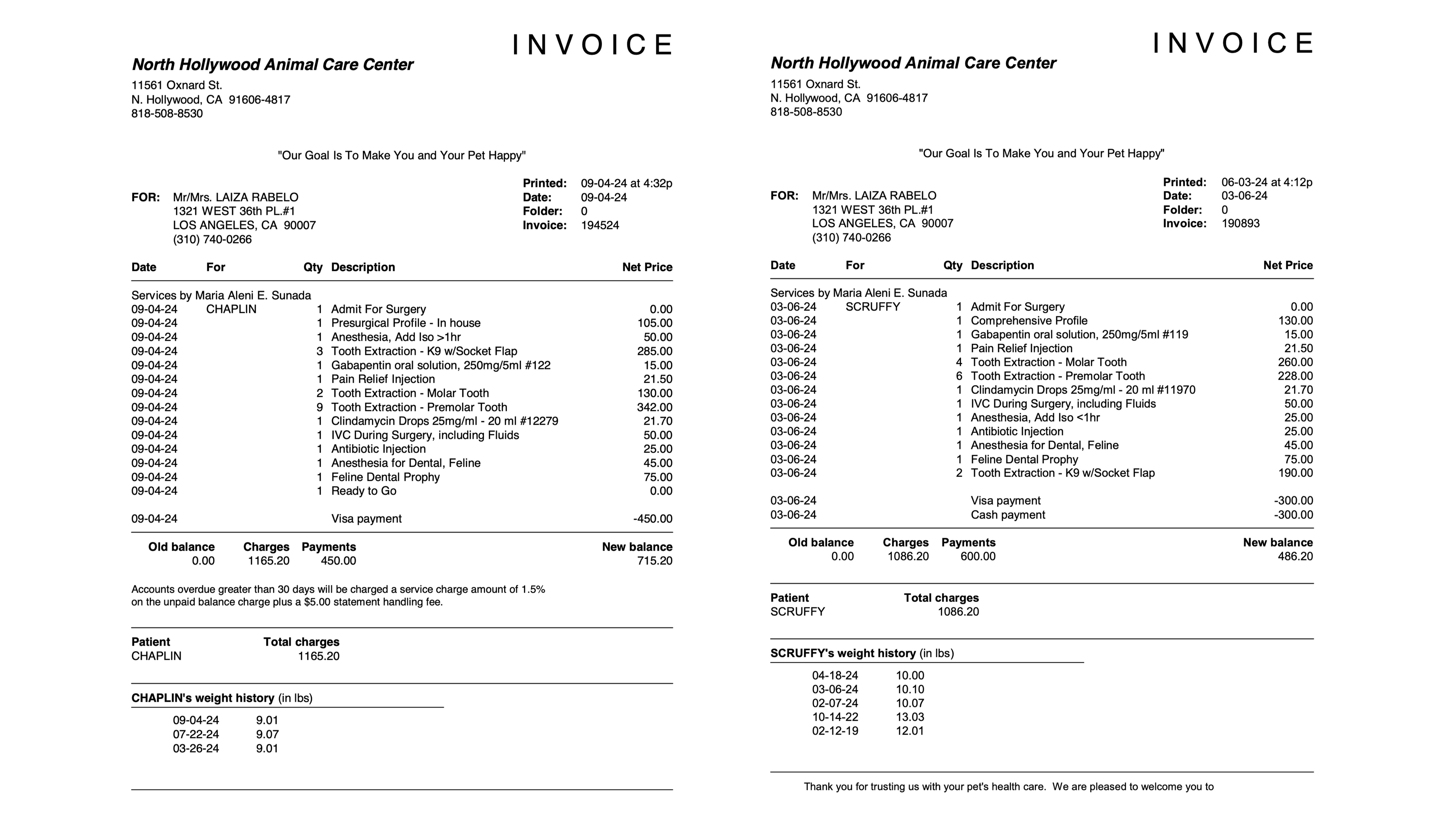 Fundraiser by Laiza Rabelo Help Chaplin Thrive After Dental Surgery