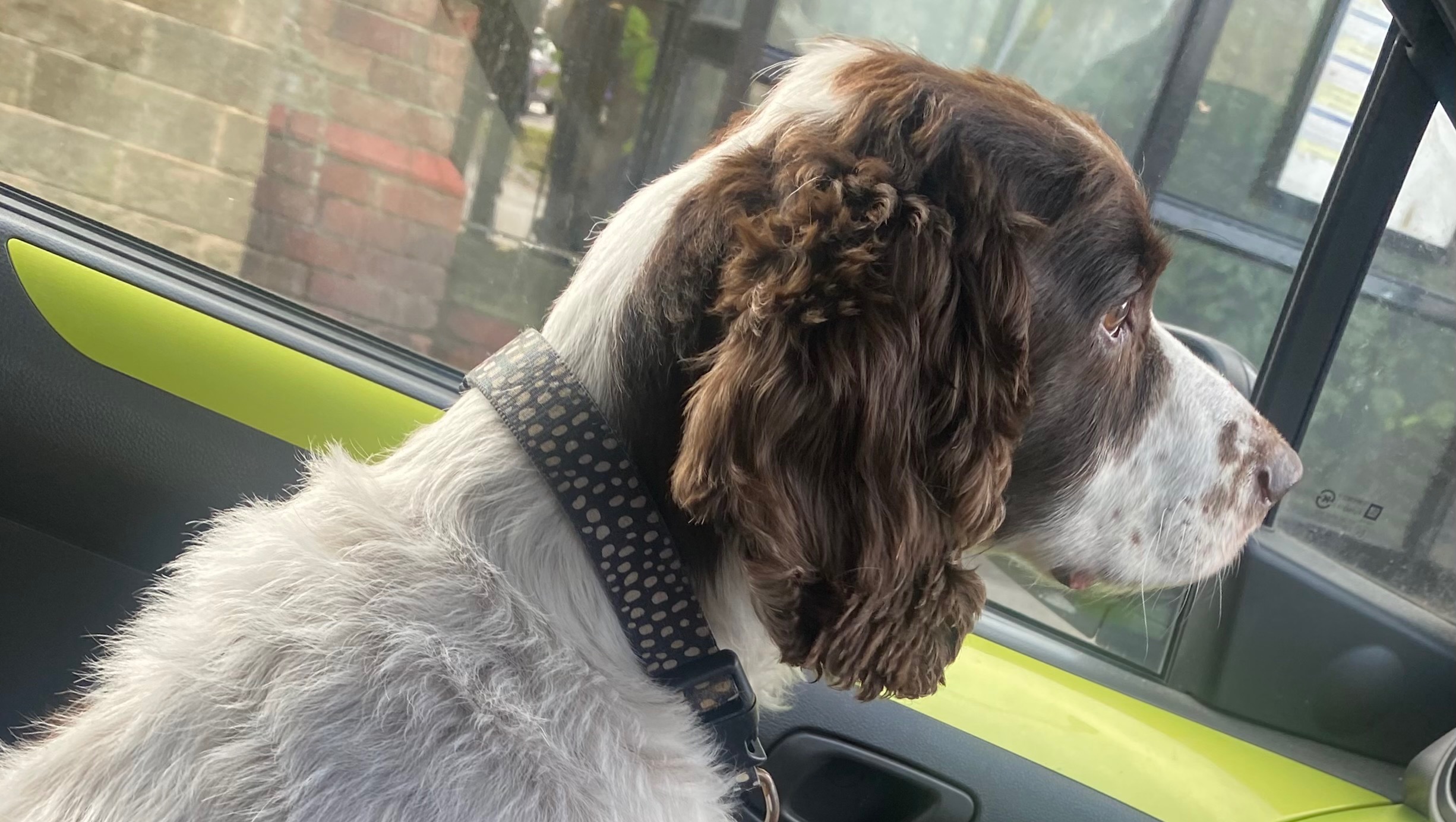 Fundraiser by Emma Baker Tobie’s surgery