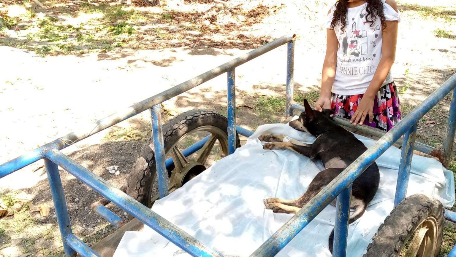 Fundraiser by Sara Wright : Support Spay & Neuter Clinics in Las ...