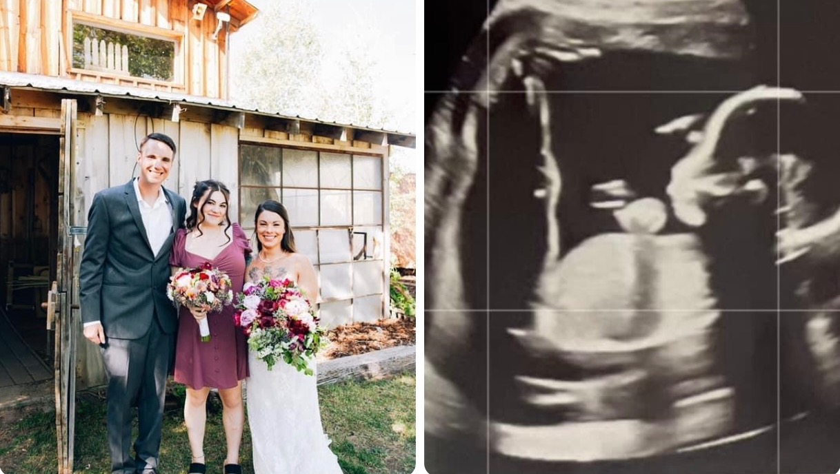 WNE: The Magazine of Western New England - Marriages and Baby Golden Bears, image size:1218x688