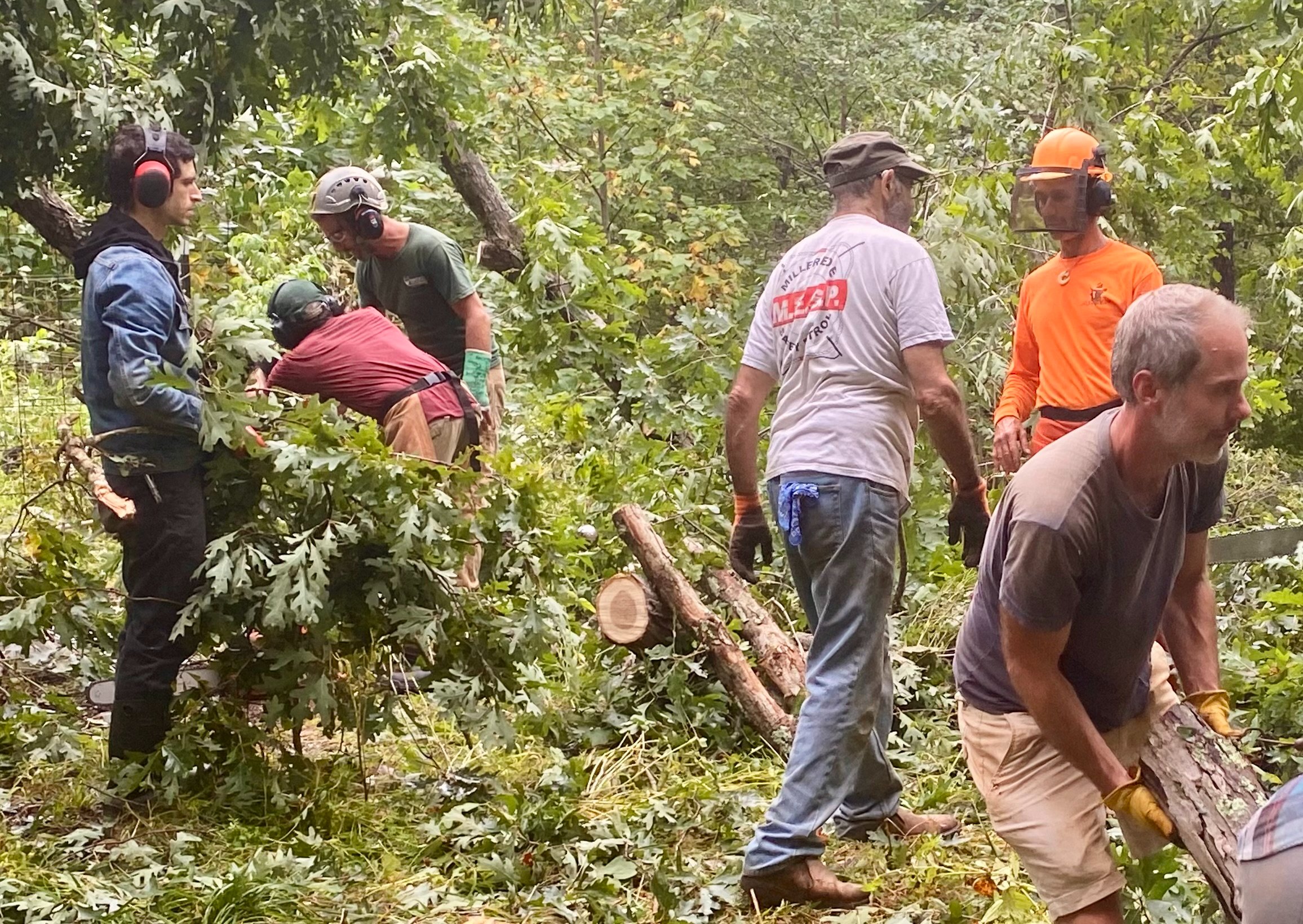 Help Earthaven Ecovillage Recover from Hurricane Helene campaign photo, 6 of 8