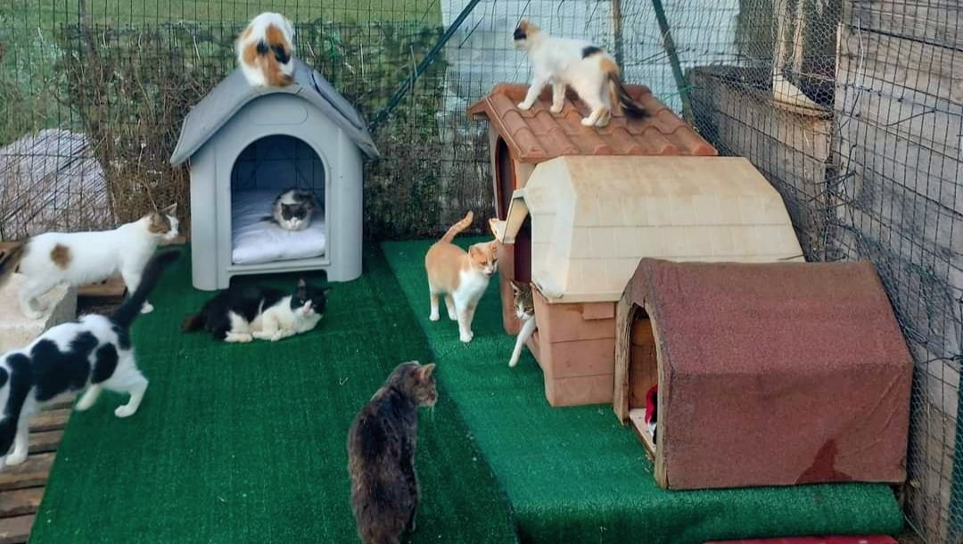 Fundraiser by Michele Cannoletta Un aiuto per le associazioni