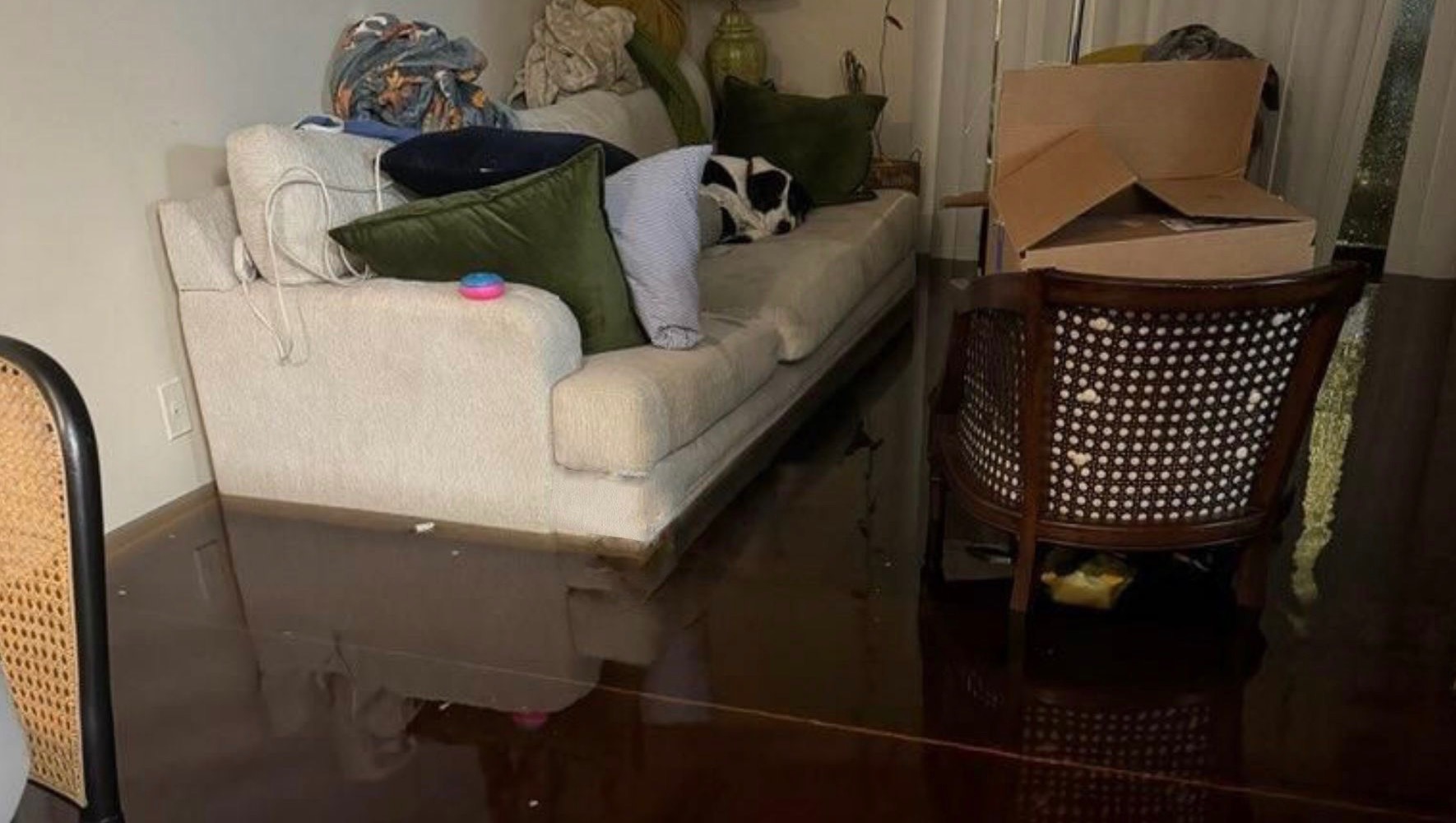 Fundraiser by Debra Lyn Rosenbach Help Heather Rebuild After