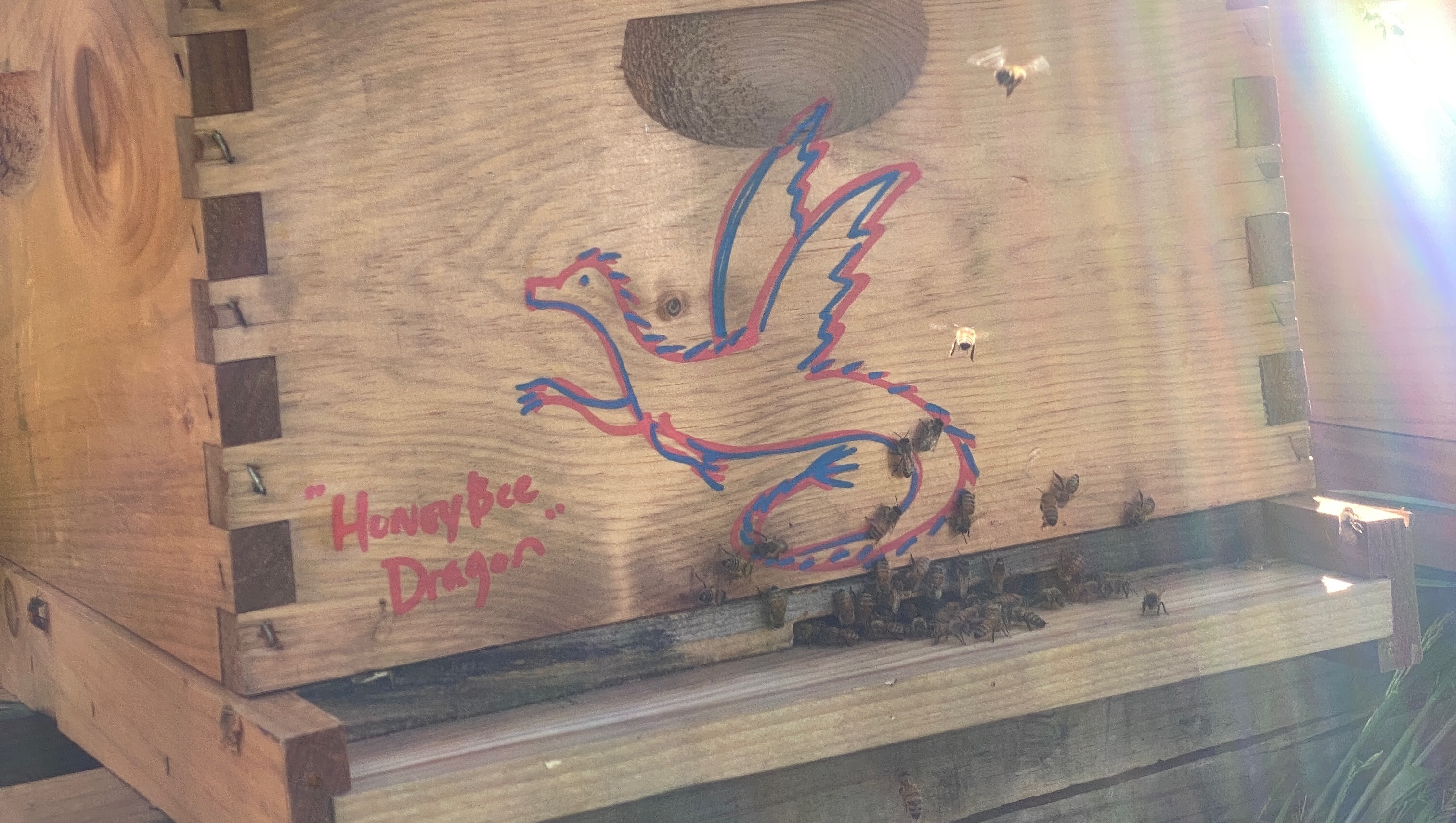 Support Asheville Beekeeper After Hurricane photo