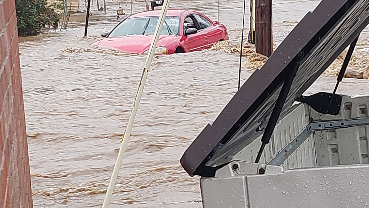 Purcell Family Displacement Fund photo