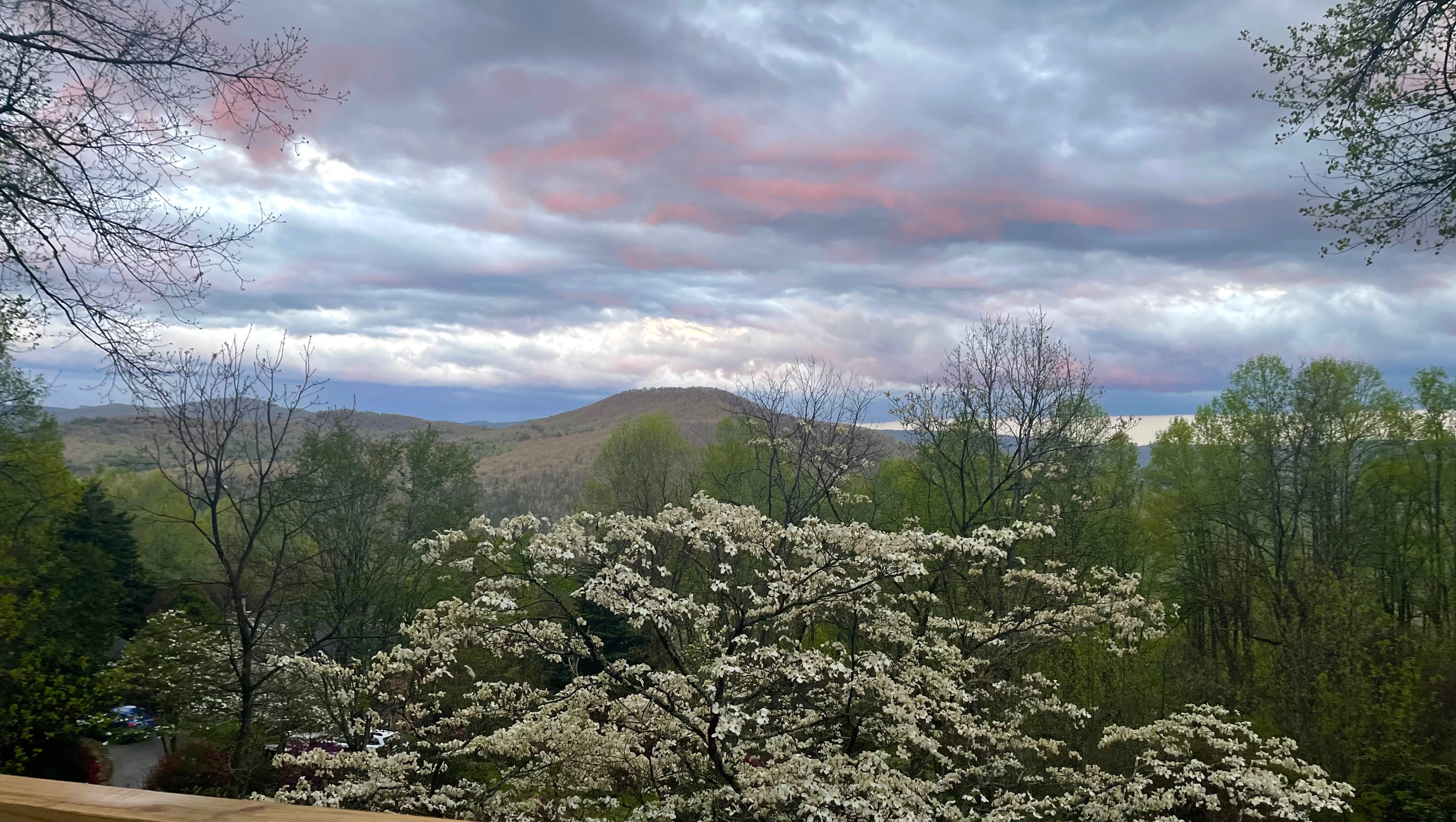 Fundraiser by Anya Tilly Supporting Spruce Pine, NC in the wake of