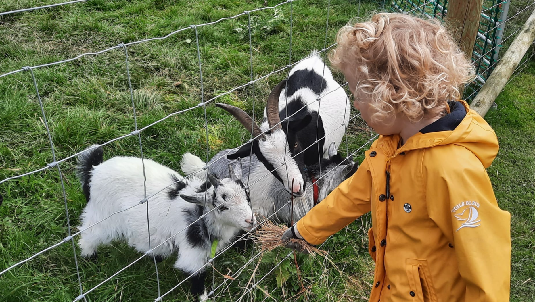 Fundraiser by Woodgate Valley Urban Farm Save Woodgate Valley Urban Farm!