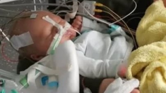 Barrierefreies Haus für's Piratenkind und seine Crew photo