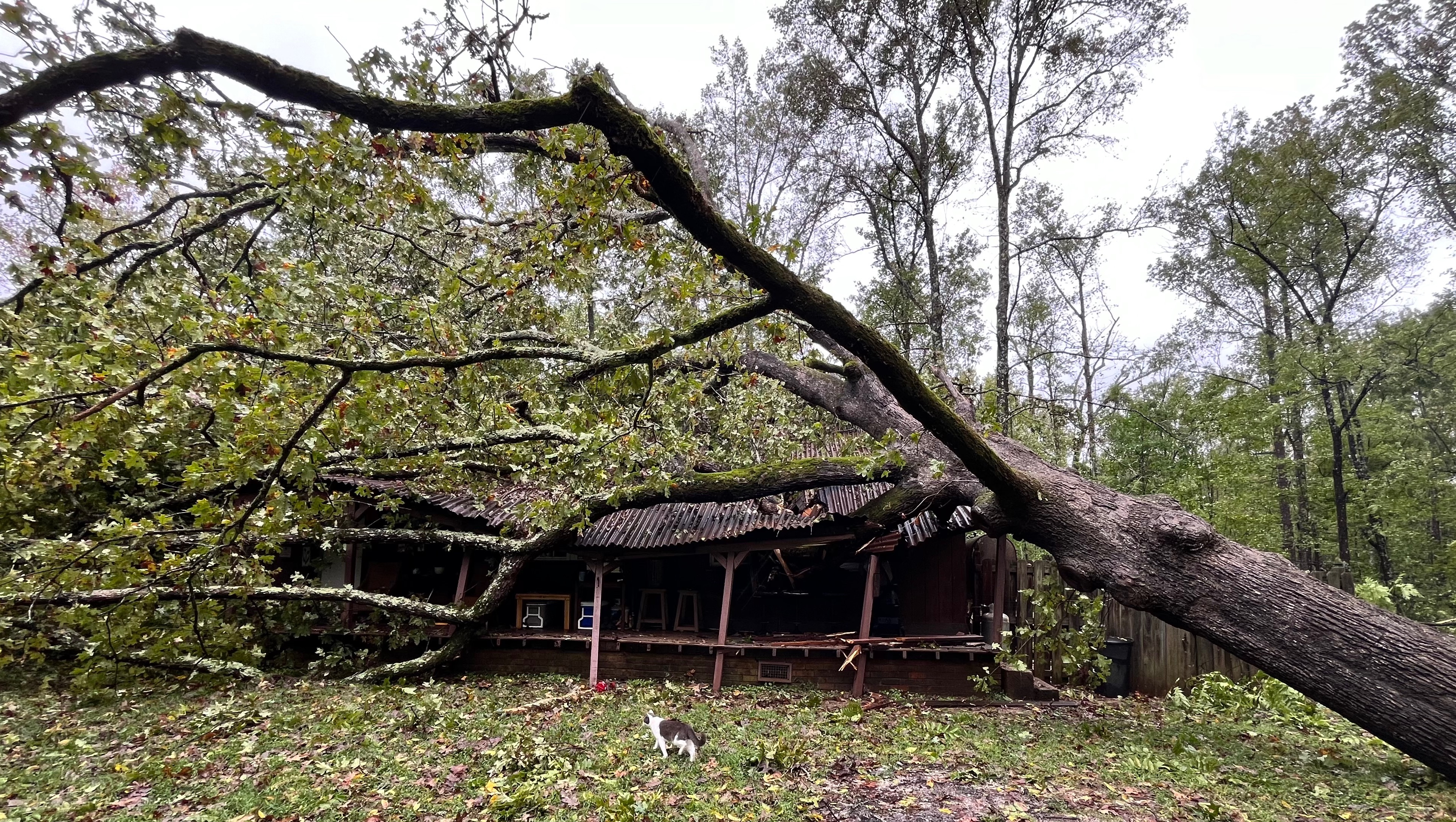 Fundraiser by Julia Yoder : Help Anita Rebuild After Hurricane Helene