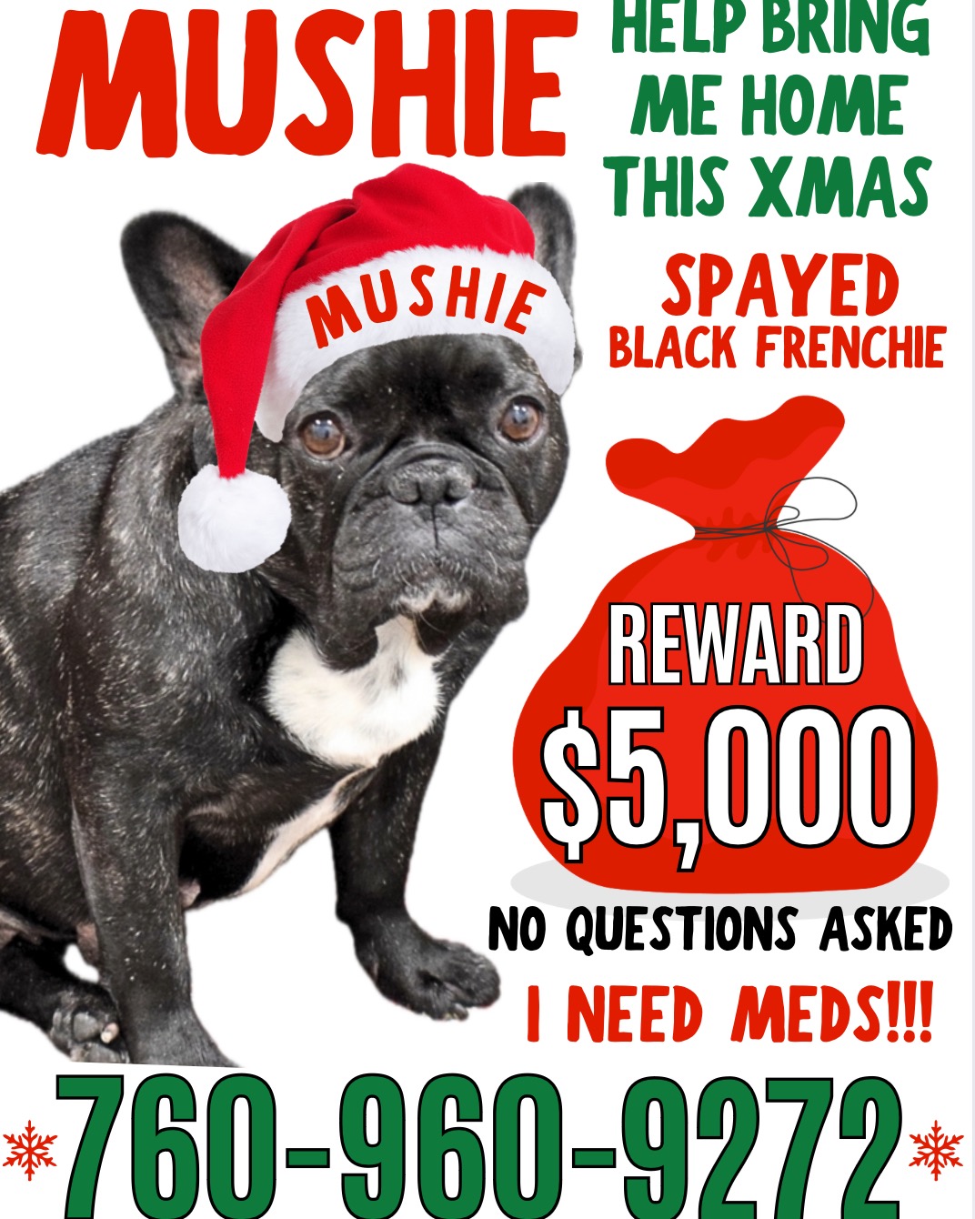 Fundraiser for Gabriella Sidhu by Sarah Jackson : Help Bring Mushie Home to  Her Loving Family, image size:1072x1340