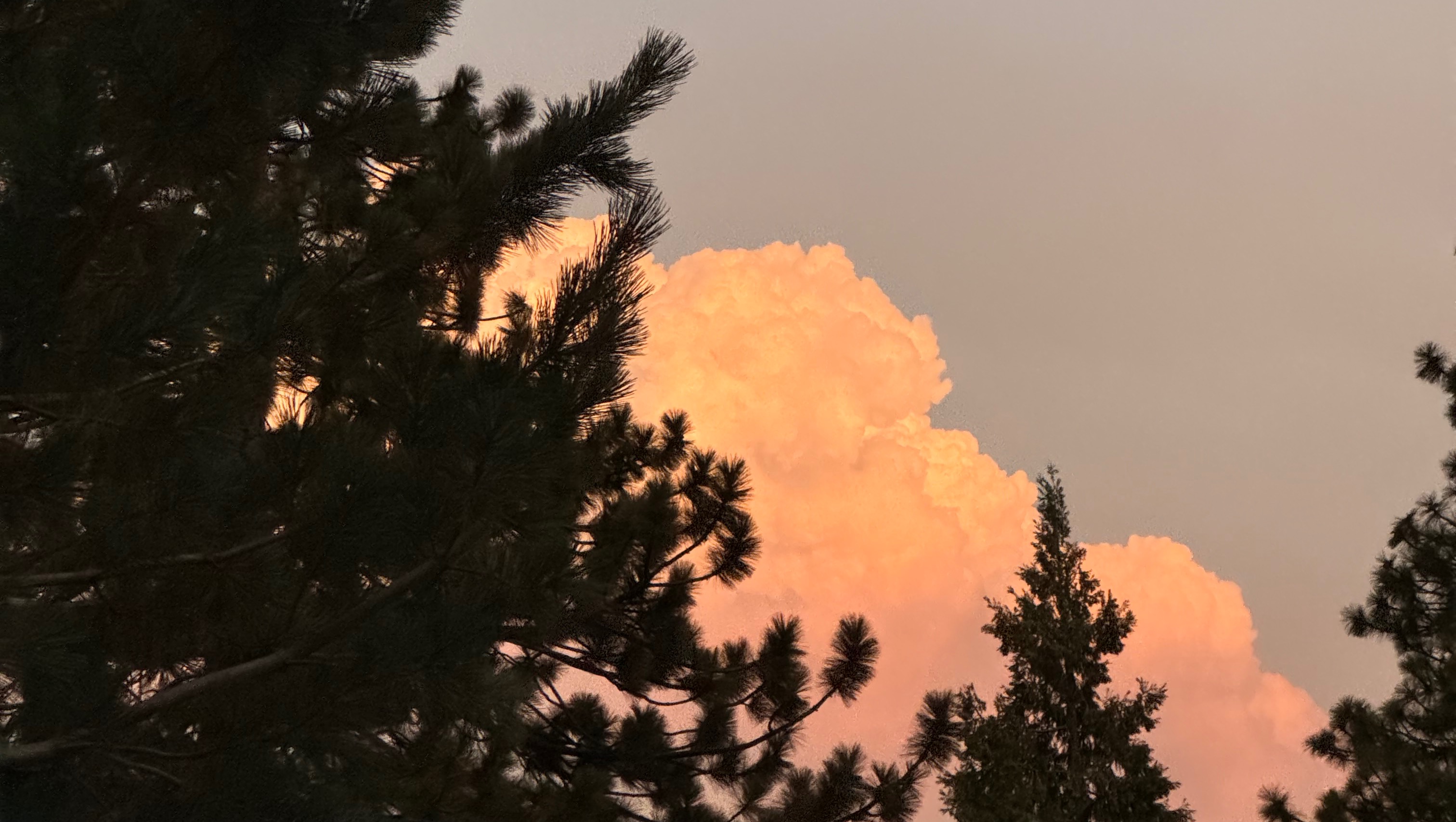 Fundraiser by Ellie Rutherford : Help a Committed Learner Finish Strong