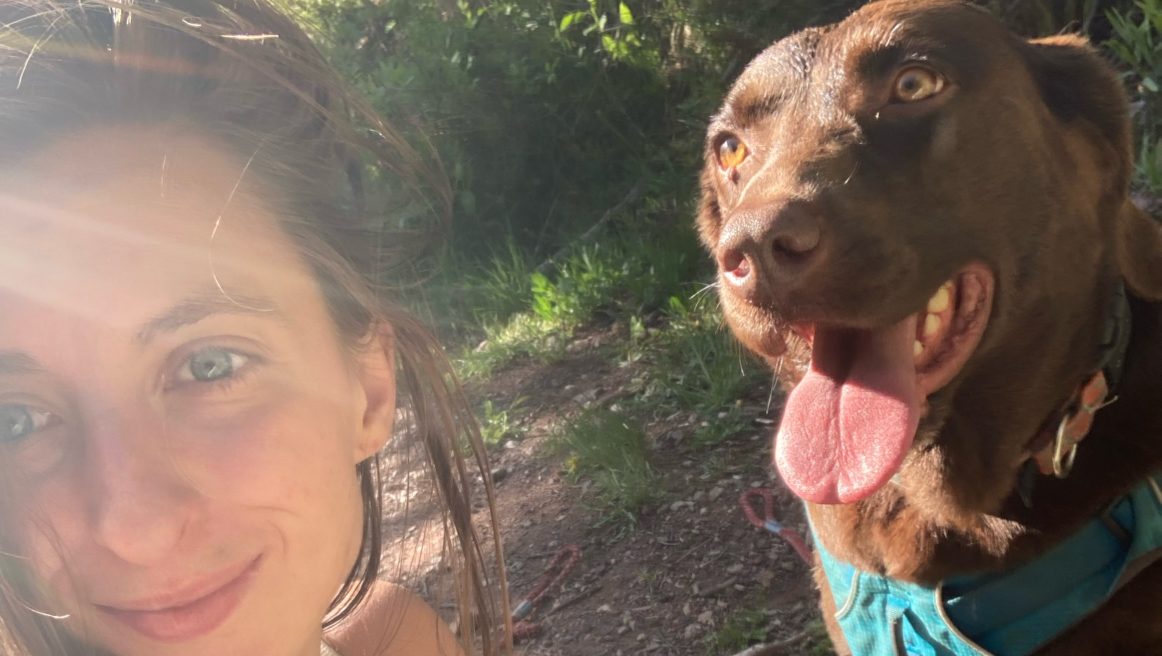 Help Courtney with Honey’s Veterinary Emergency photo