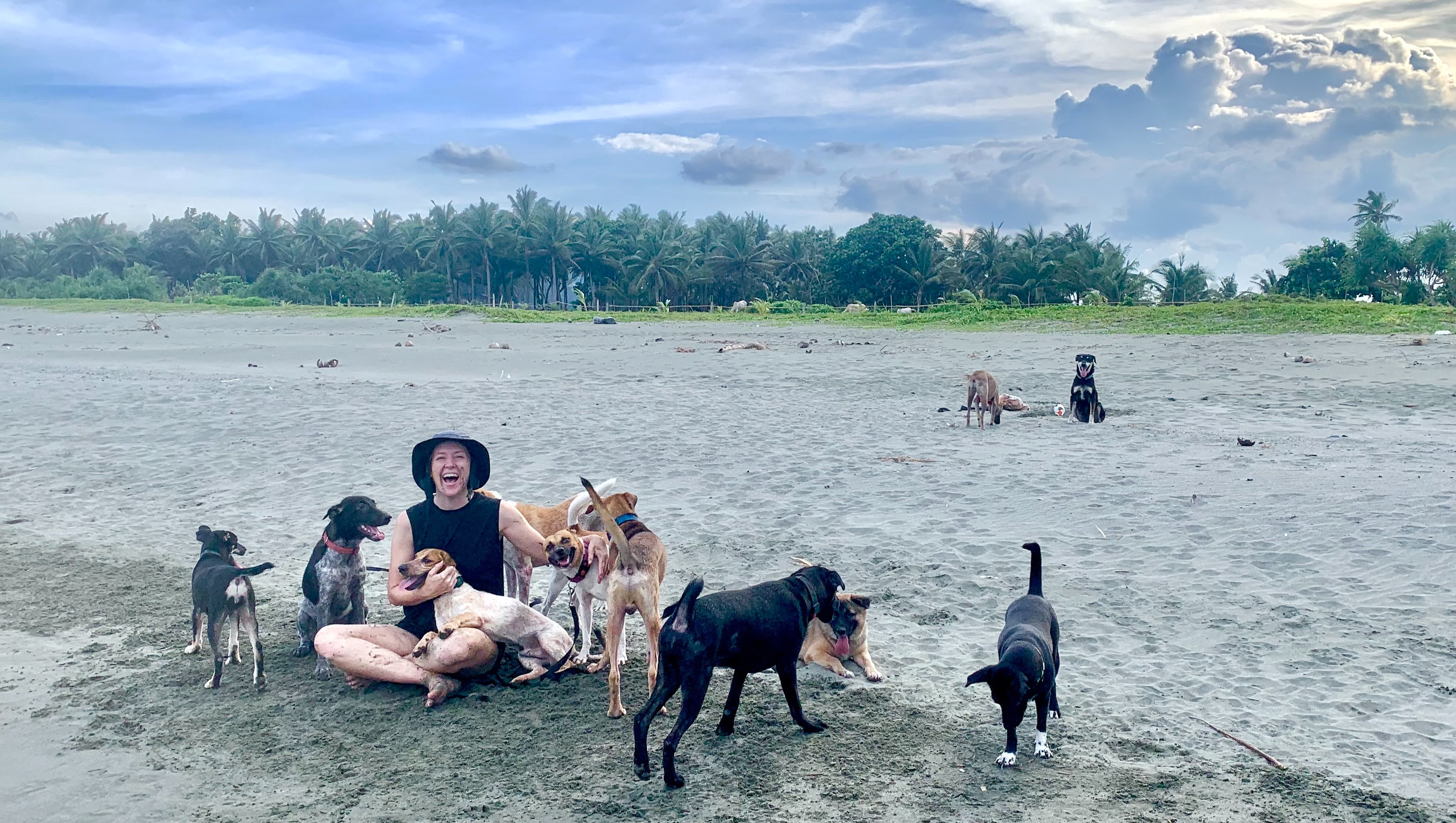 Fundraiser by Hannah Neumann Fly Hannah's Rescued Animals to Safety