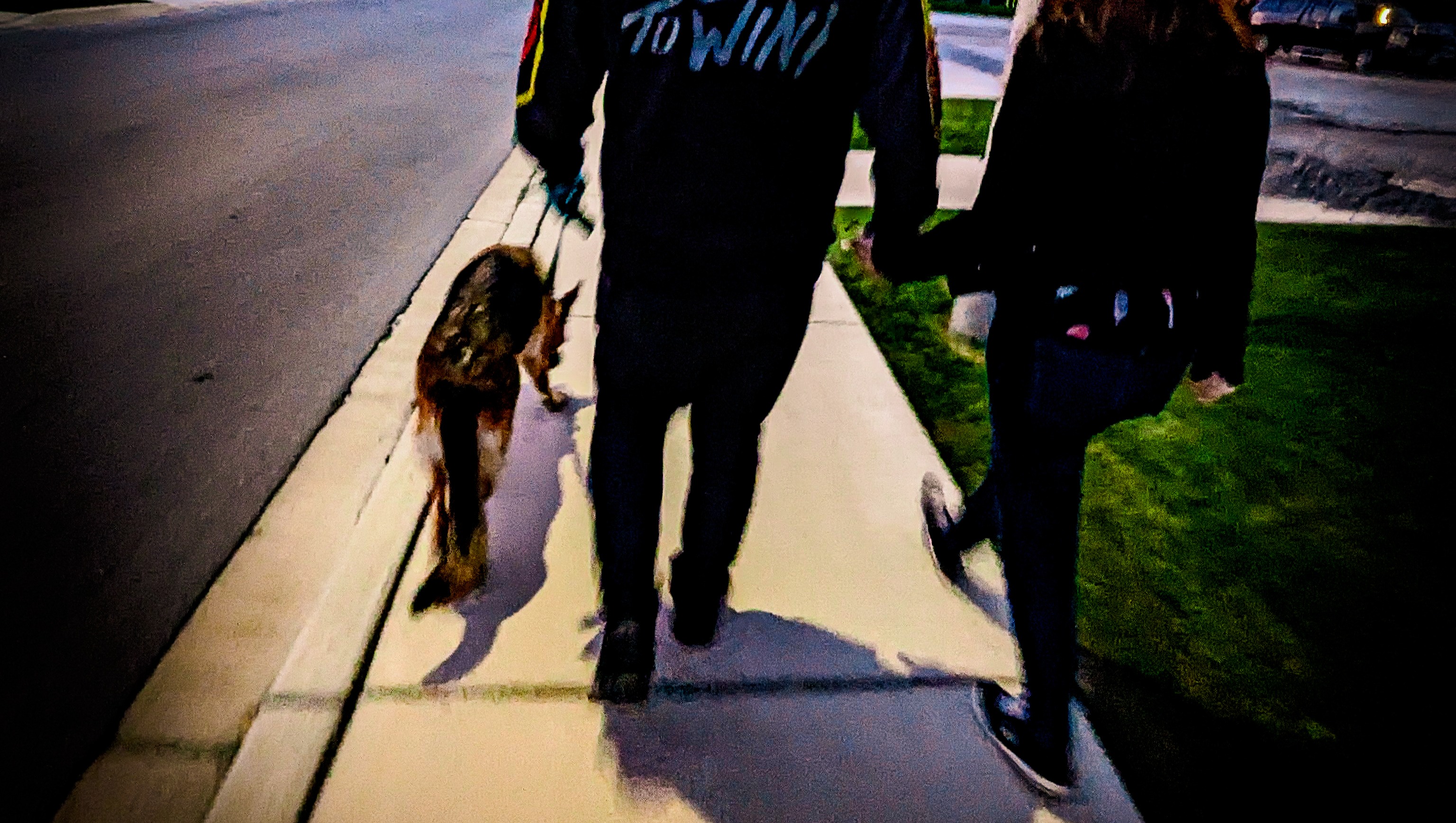 Fundraiser for Jessie Gurniak by Drew Beaudoin Help with Korra's