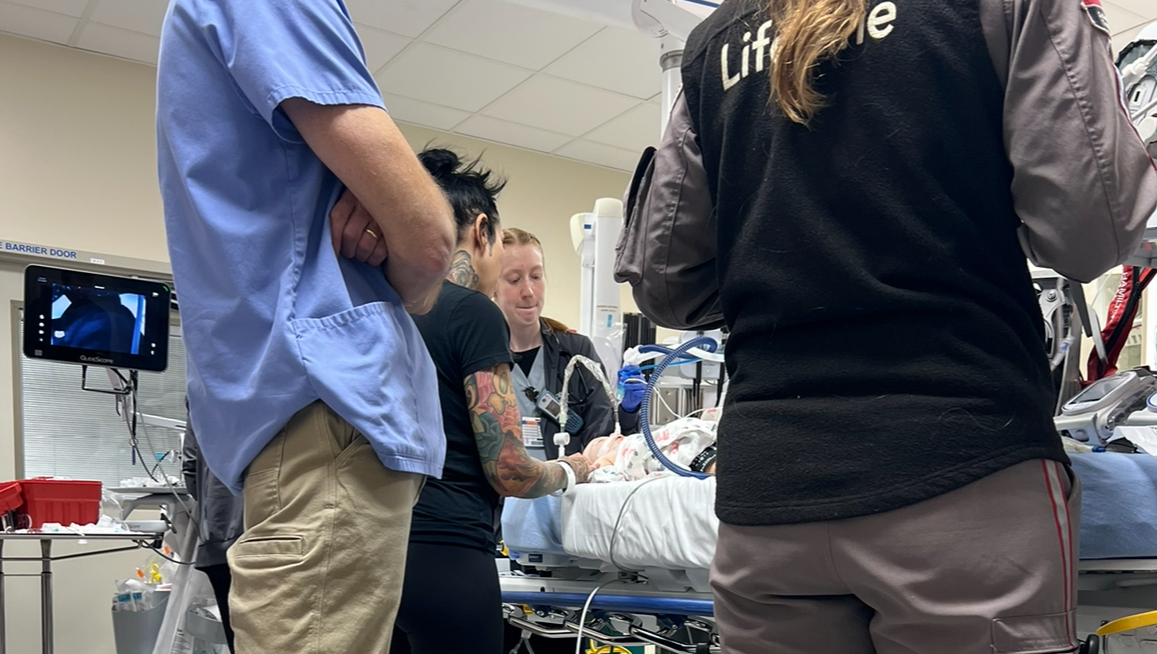 Support Tallulah's Healing Journey photo