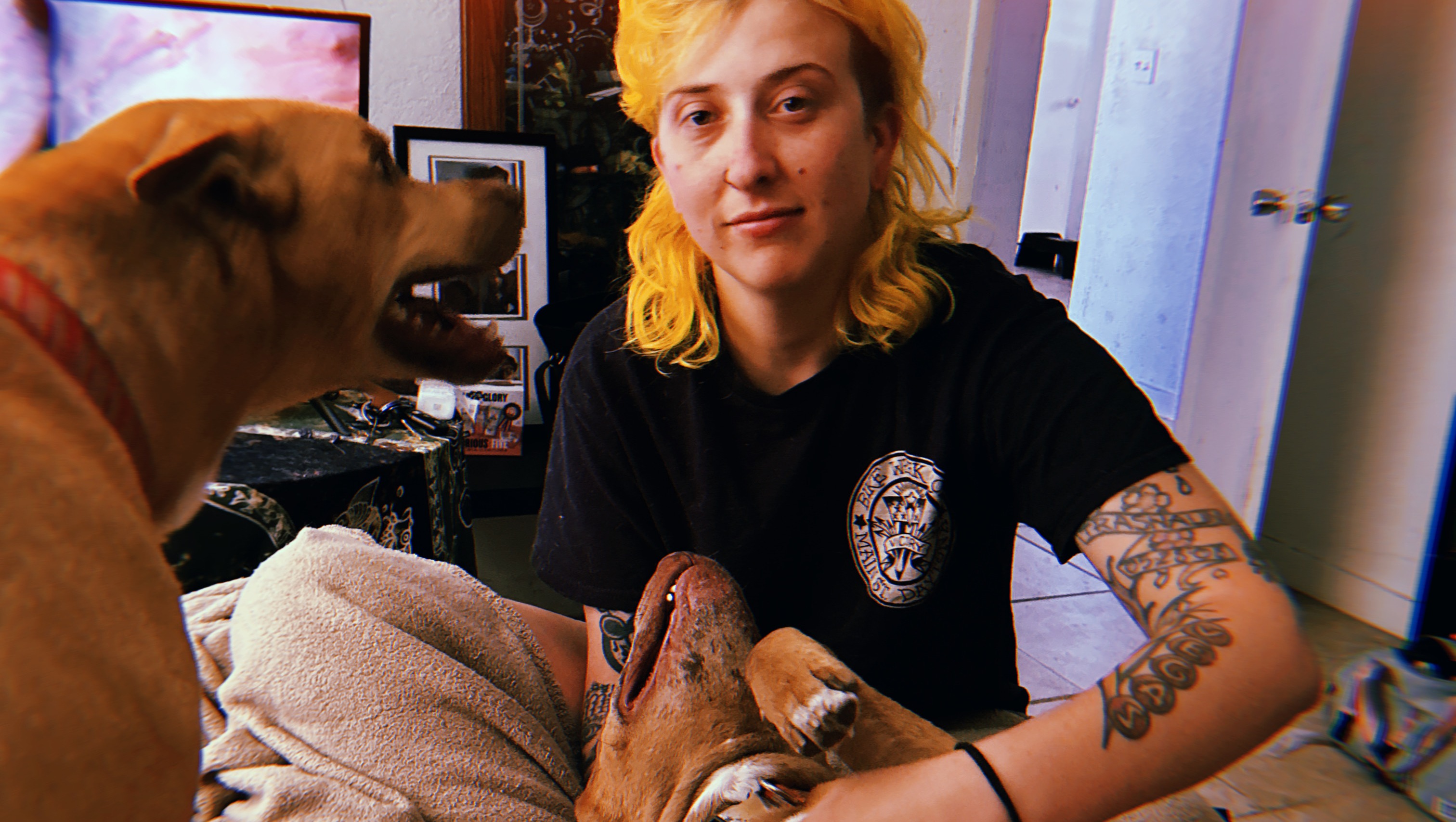 Rebuild Hope for Nicole and Her Fur Babies photo