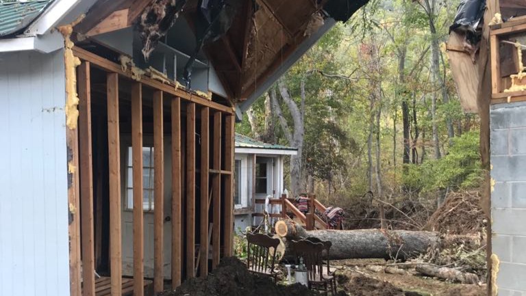 Support Paulette and Nola's Journey to Recovery photo