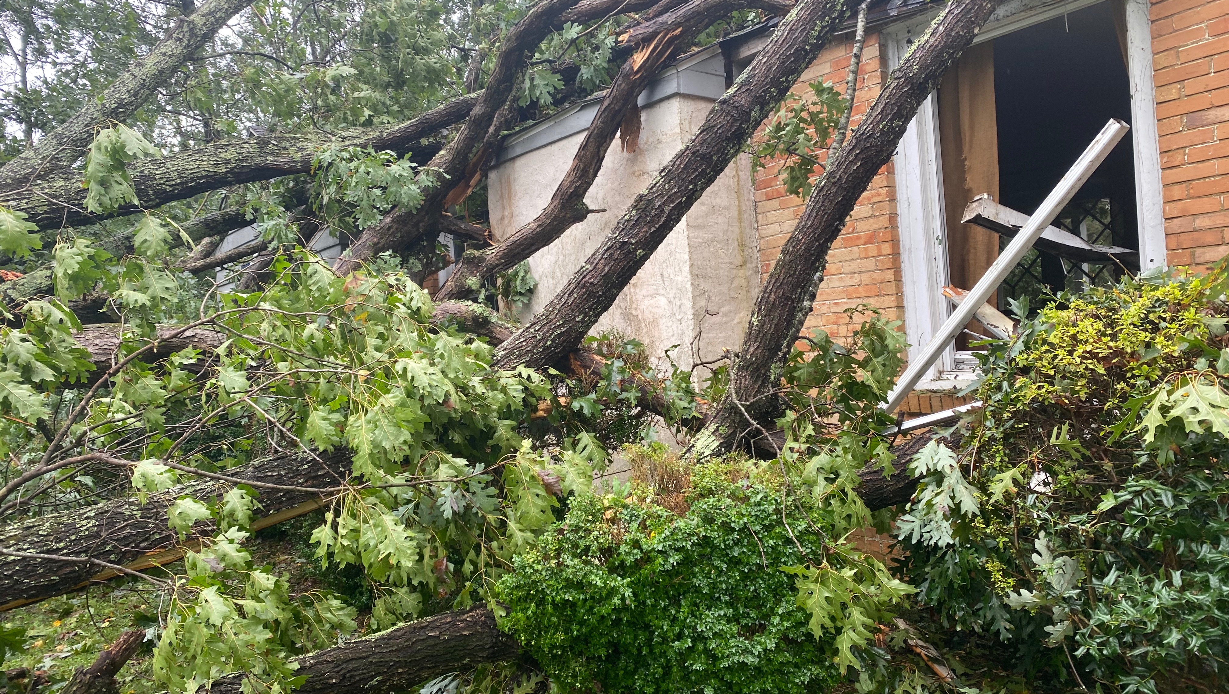 Fundraiser by Joshua Gillett : Help Josh Rebuild or Relocate After ...