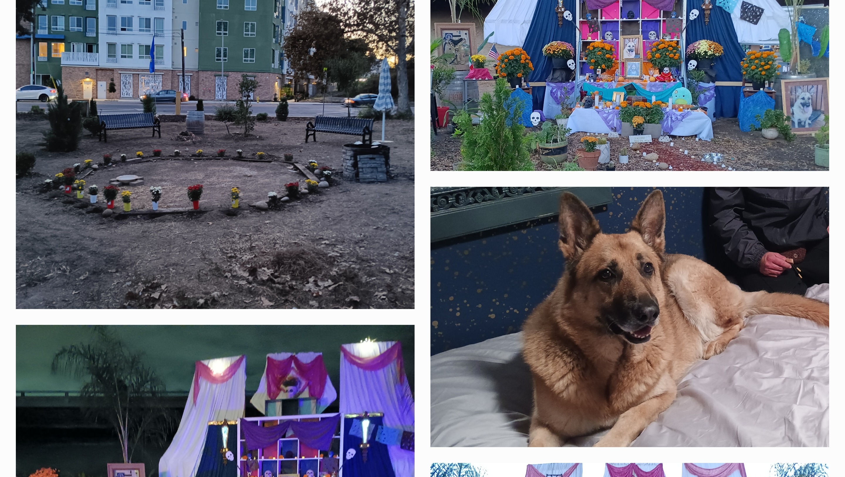 From the Streets - to Giving Back photo