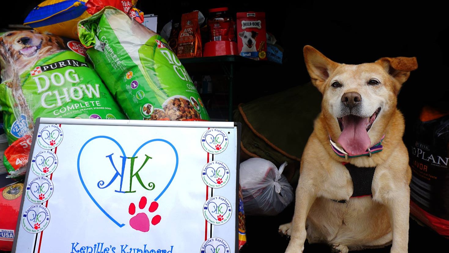 Fundraiser by Carolyn HeitClosson Donate to Local Pet Pantry for Pet