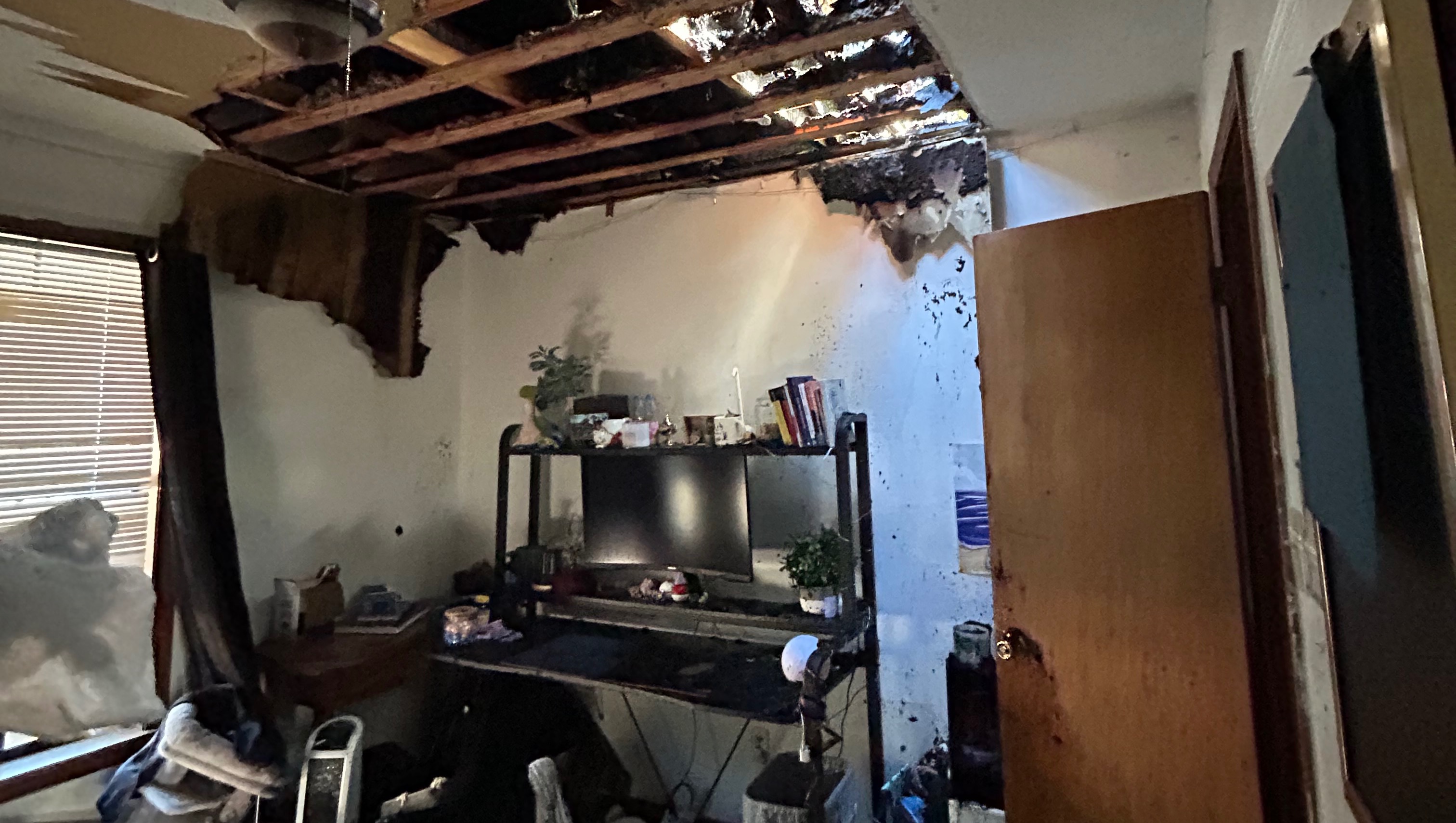 Fundraiser for Alyssa Phillips by Sophia Bailey Help Alyssa Rebuild