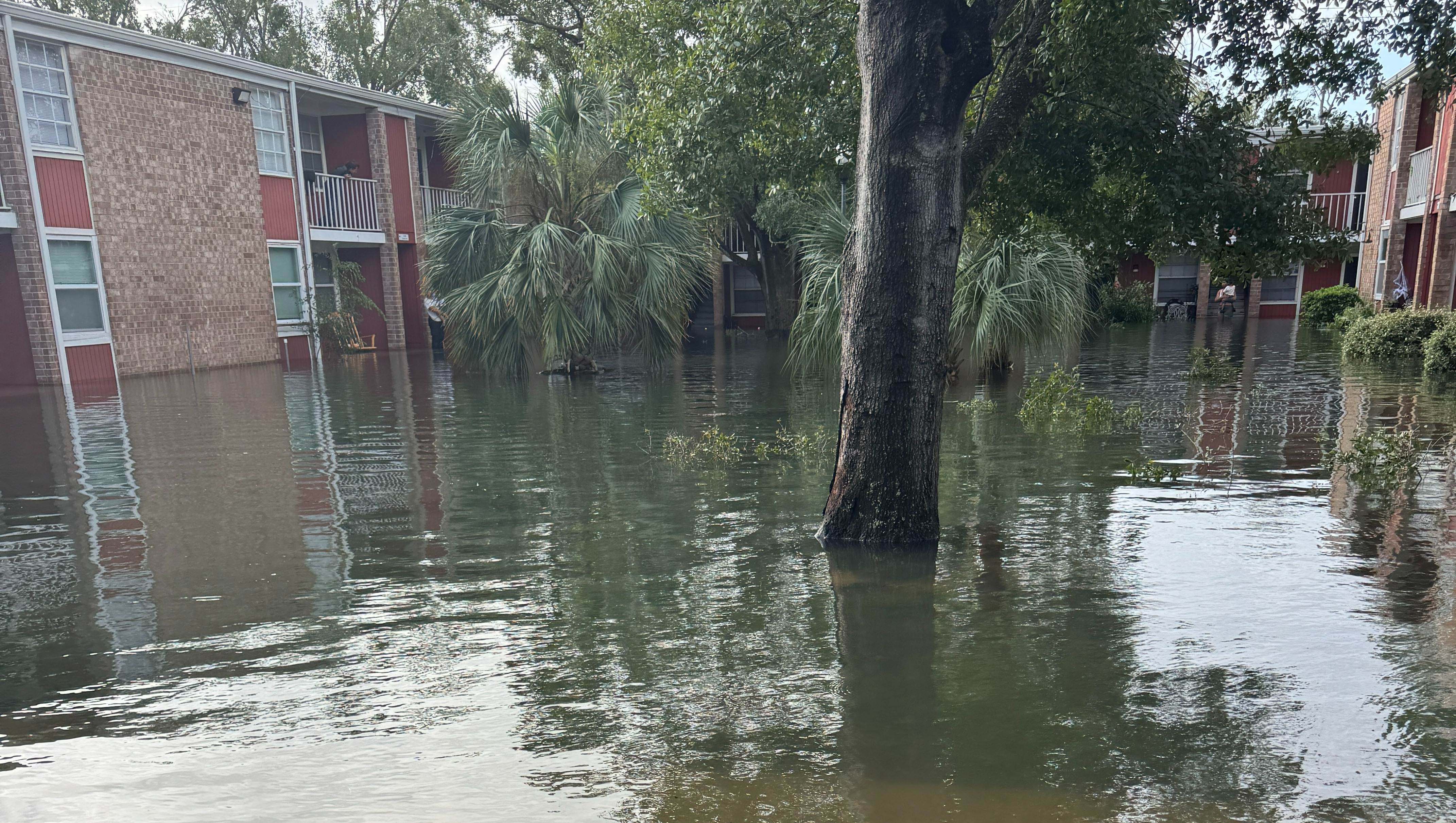 Fundraiser by Alexcia Alana DeLorey Help Alexcia rebuild her life