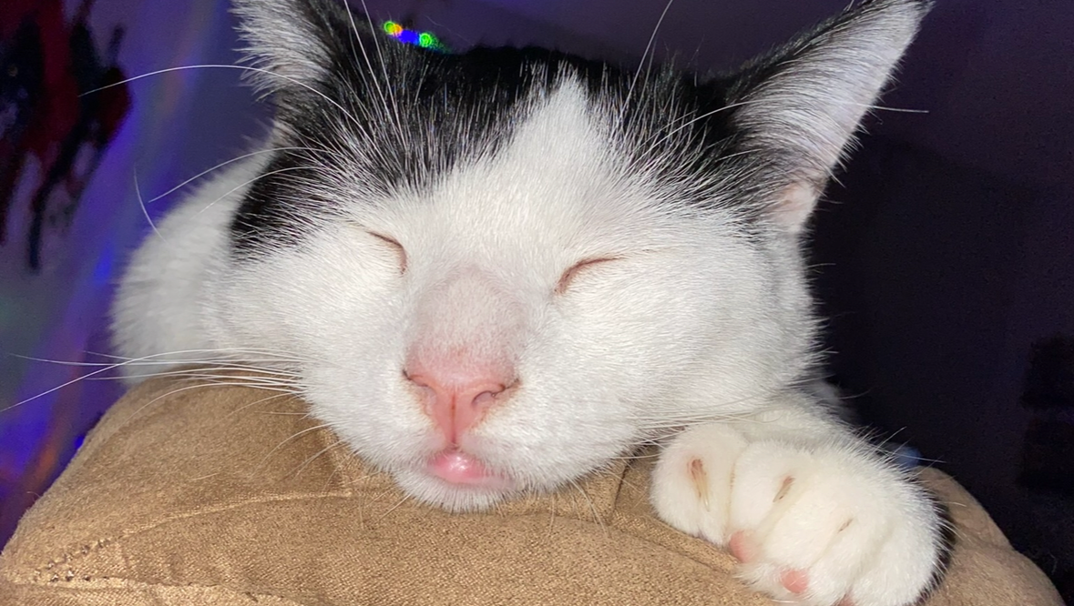 Fundraiser for Julie Wange by Kayla Macgregor Help needed asap for