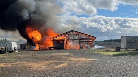 Fundraiser for Rosemary Heuser by Jaime Rainbolt : Aid Rolly & Rosemary