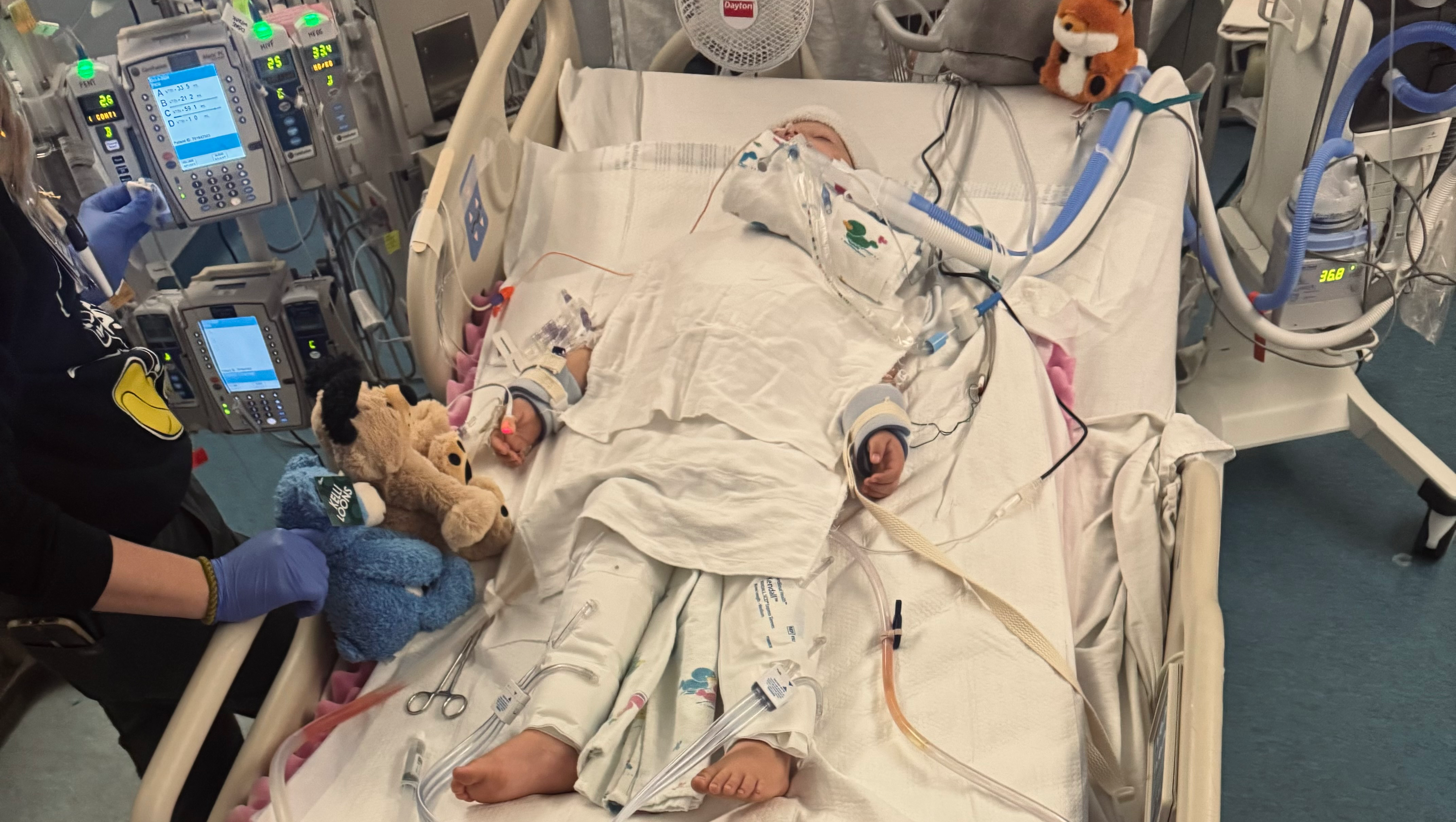 Donate to Kase's Long Road to Recovery photo