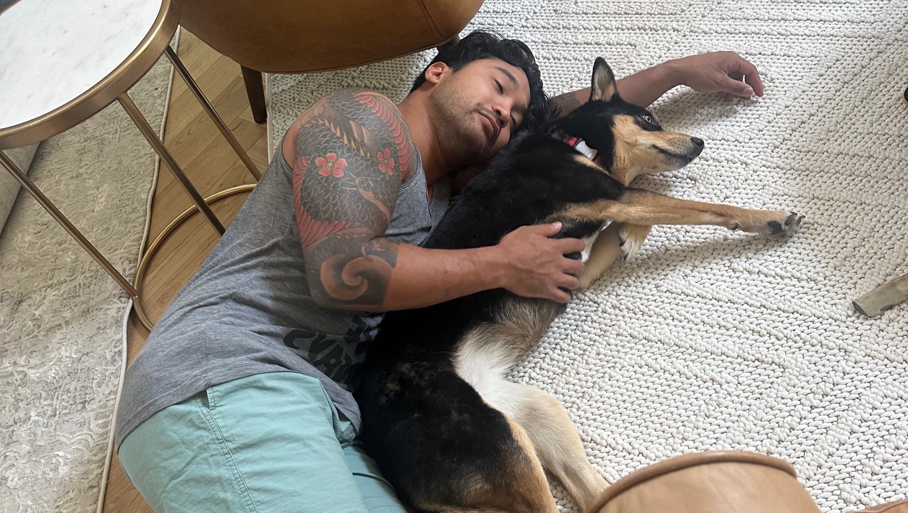 Support Roxi's Medical Care photo