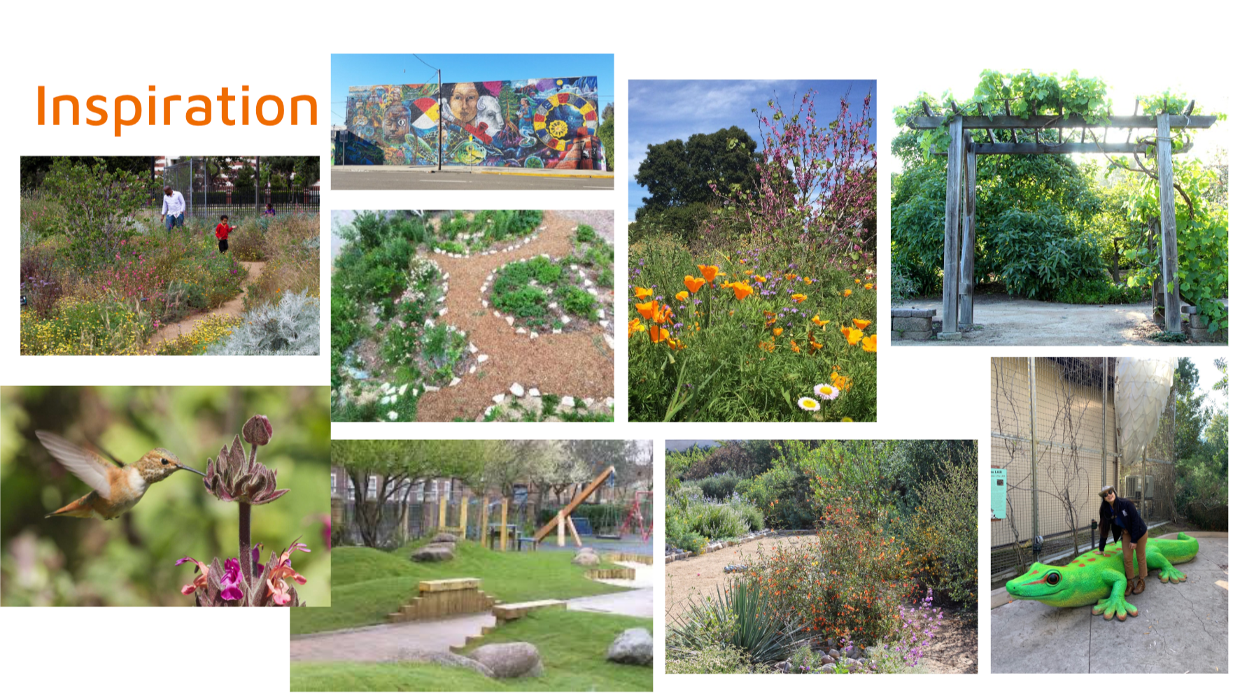 Transforming Asphalt to Nature: Support London Street Garden photo