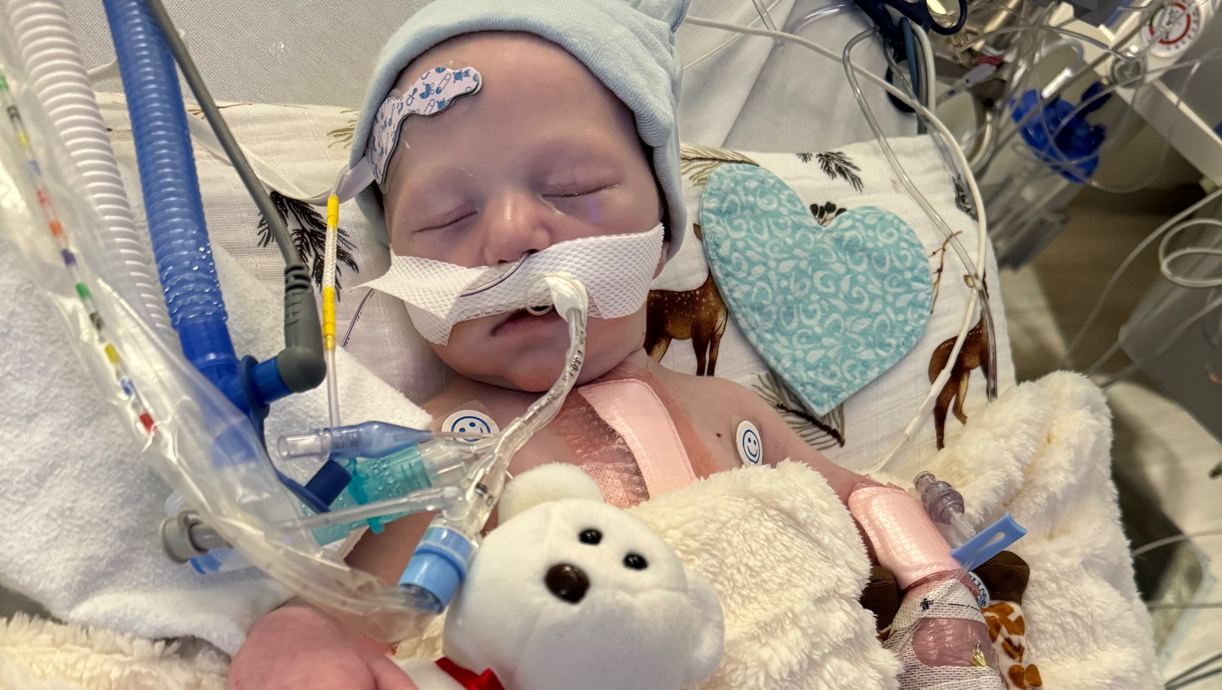 Donate to Jace Jackman's Fight for a Healthy Heart photo