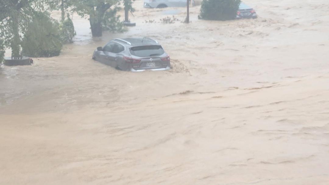 Fundraiser by Carrolyn Burns Support for Yen Thi Le's Family After