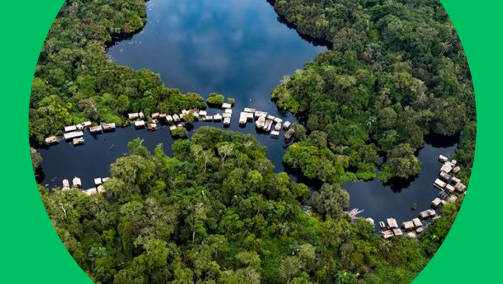 Stop Ecocide in Congo Basin! - Solidarity with DRC activists, organized by Congo Basin Alliance