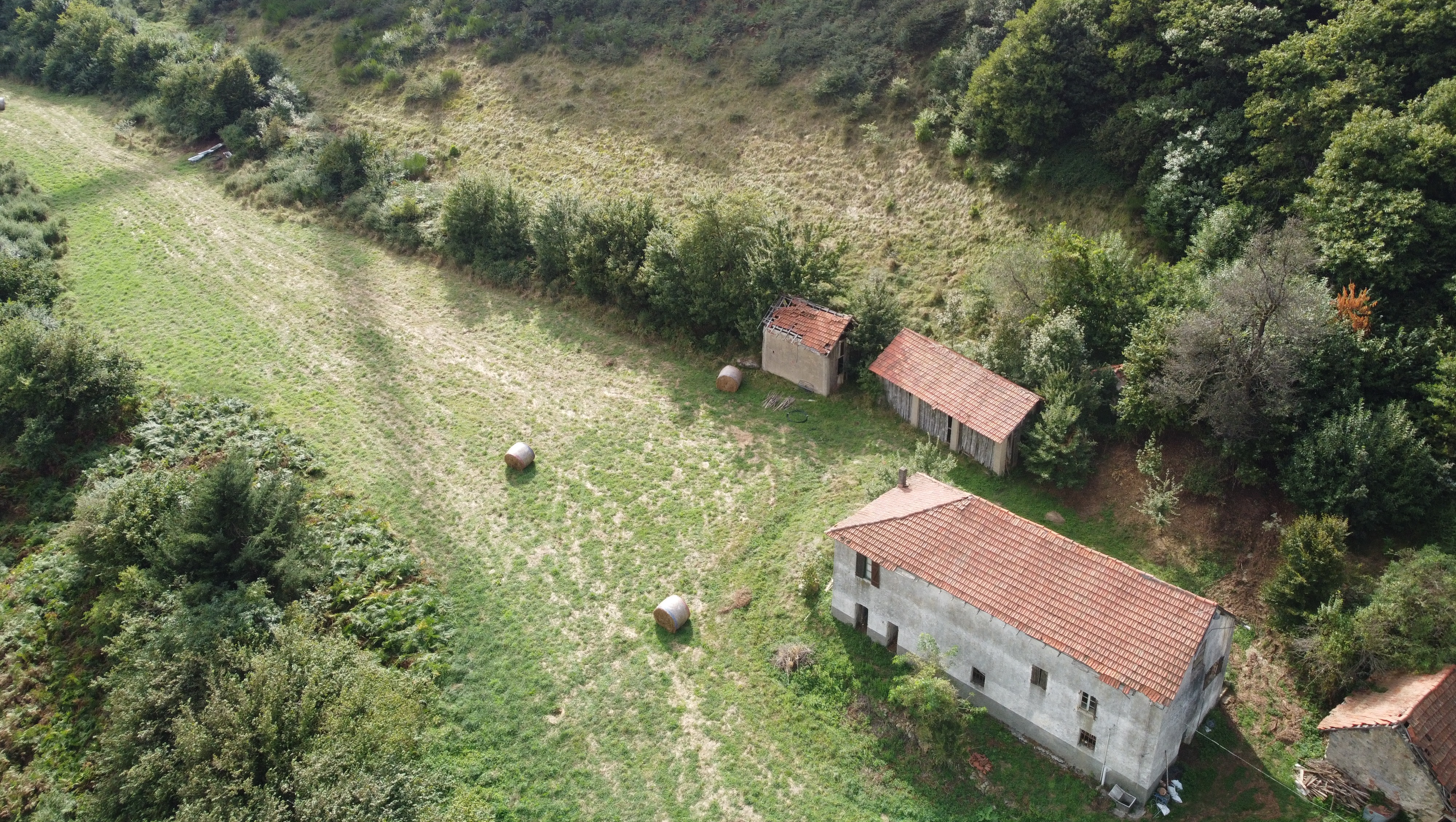 L'Oasi di Goloka - il Paradiso delle mucche felici photo
